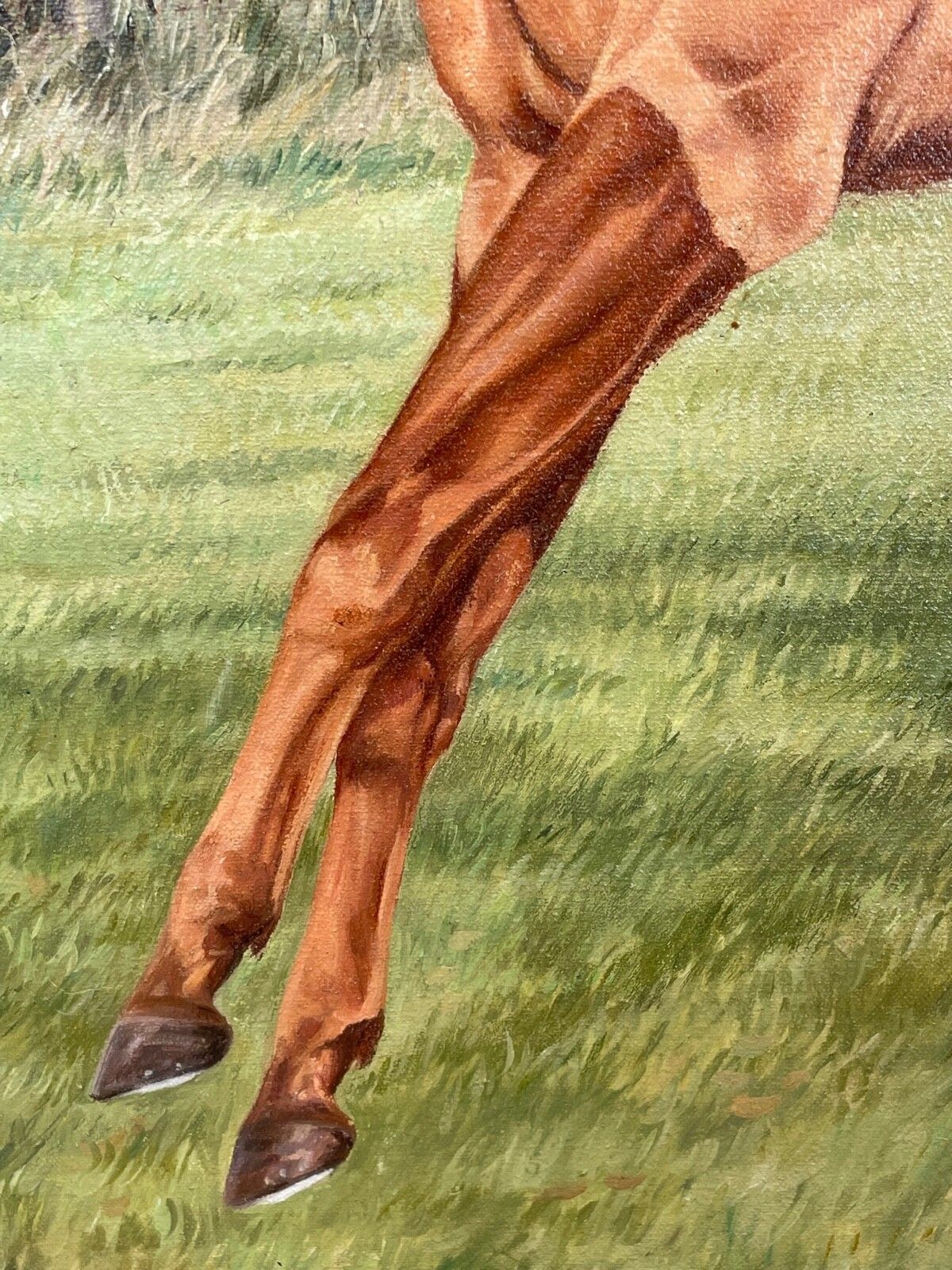 Rca Equestrian Olieverfschilderij Londolozi Paardenrennen Springend Over Hek Gesigneerd Door Sue Wingate photo 4500.0