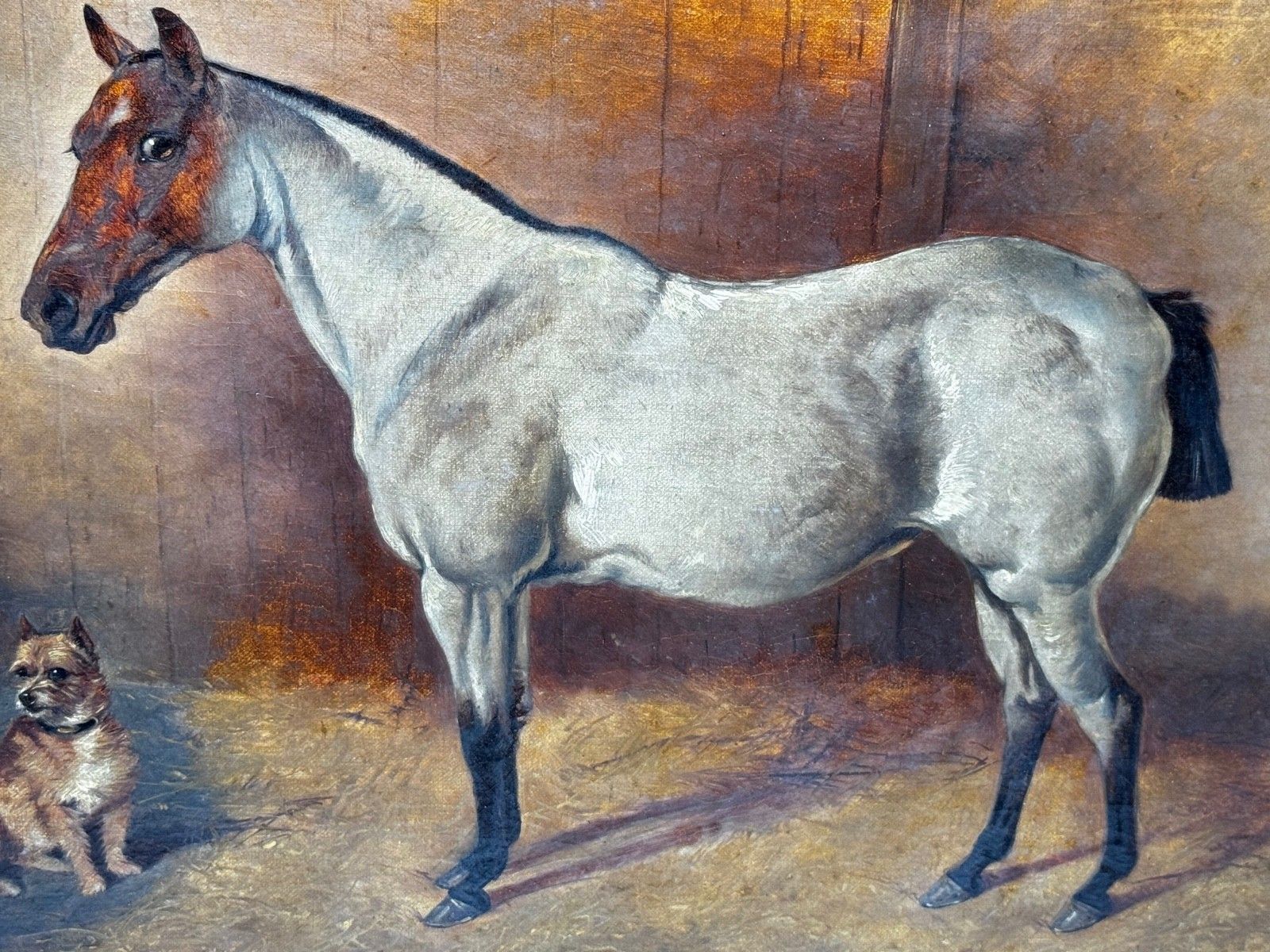 Victorian  Equestrian Oil Painting Portrait  Strawberry Roan Hunter Horse In Stable With Terrier Circle Of Edwin Frederick Holt photo Art