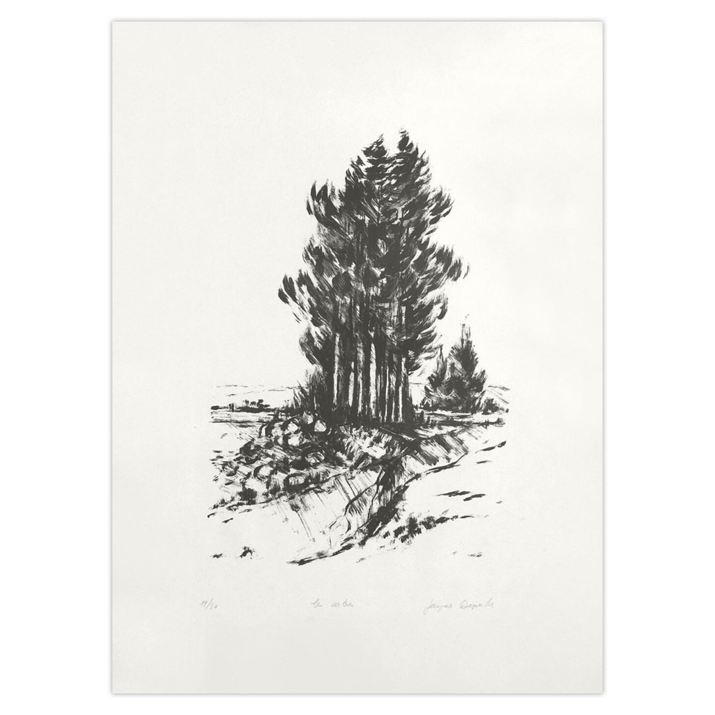 Jacques Deperthes Signed Lithograph Les Arbres 1975