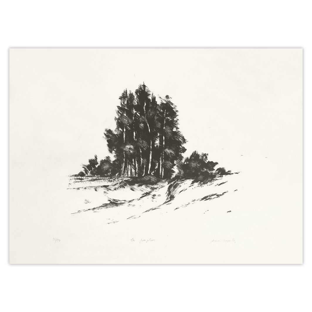 Jacques Deperthes Gesigneerde Lithografie Les Peupliers