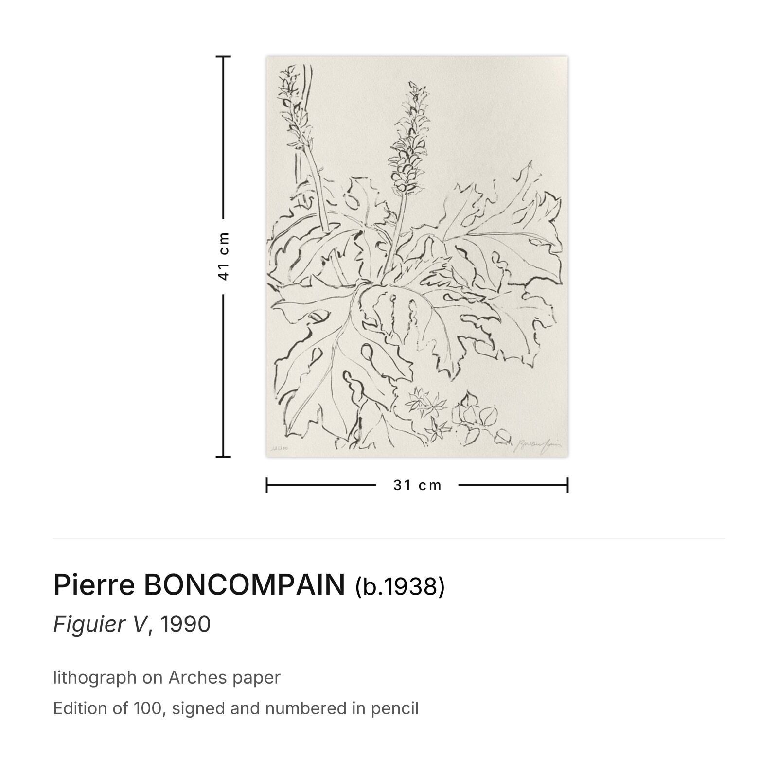Pierre Boncompain Gesigneerde Lithografie Figuier V 1990 photo furniture