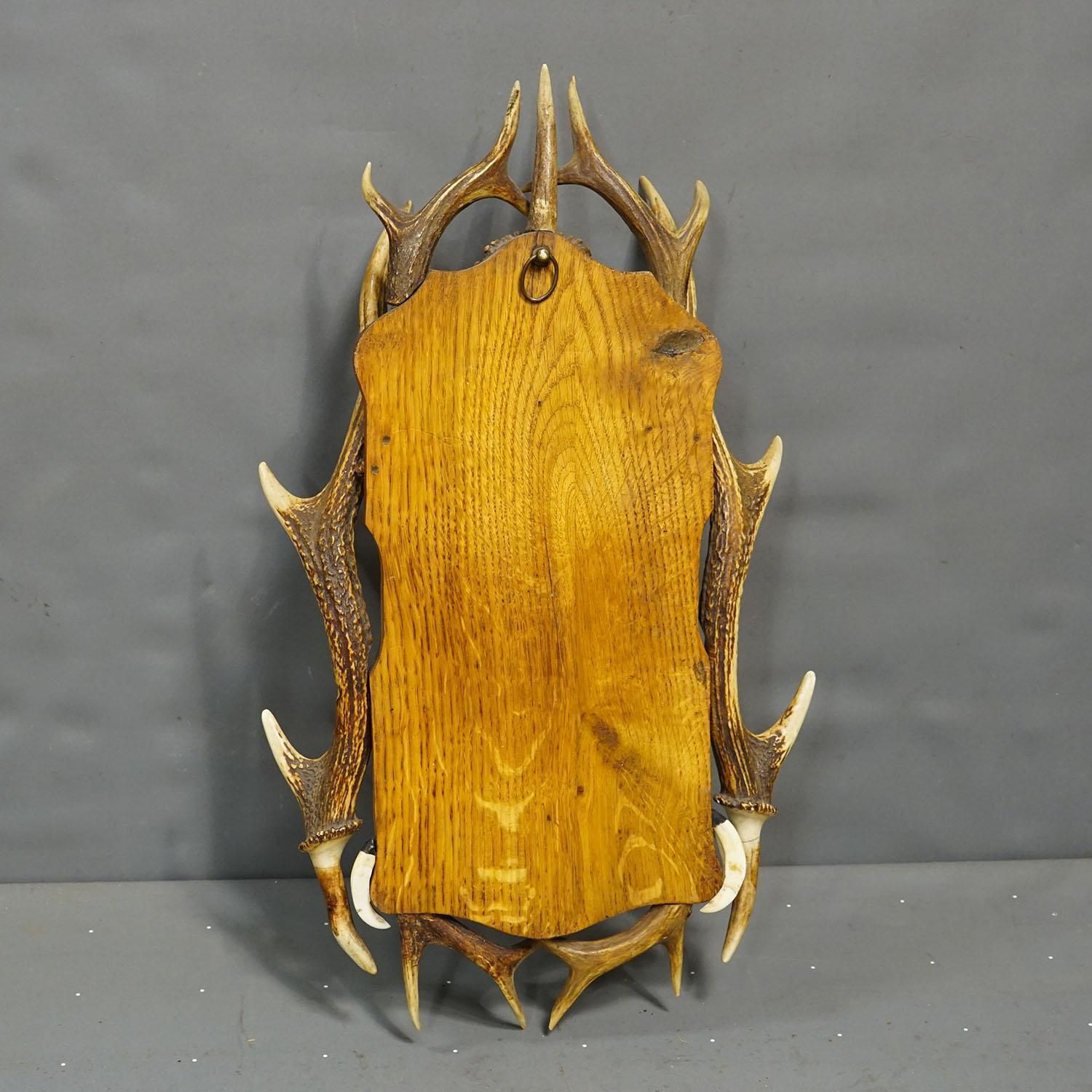 Antique Black Forest Antler Key Rack, Germany Ca. 1930s photo vintage
