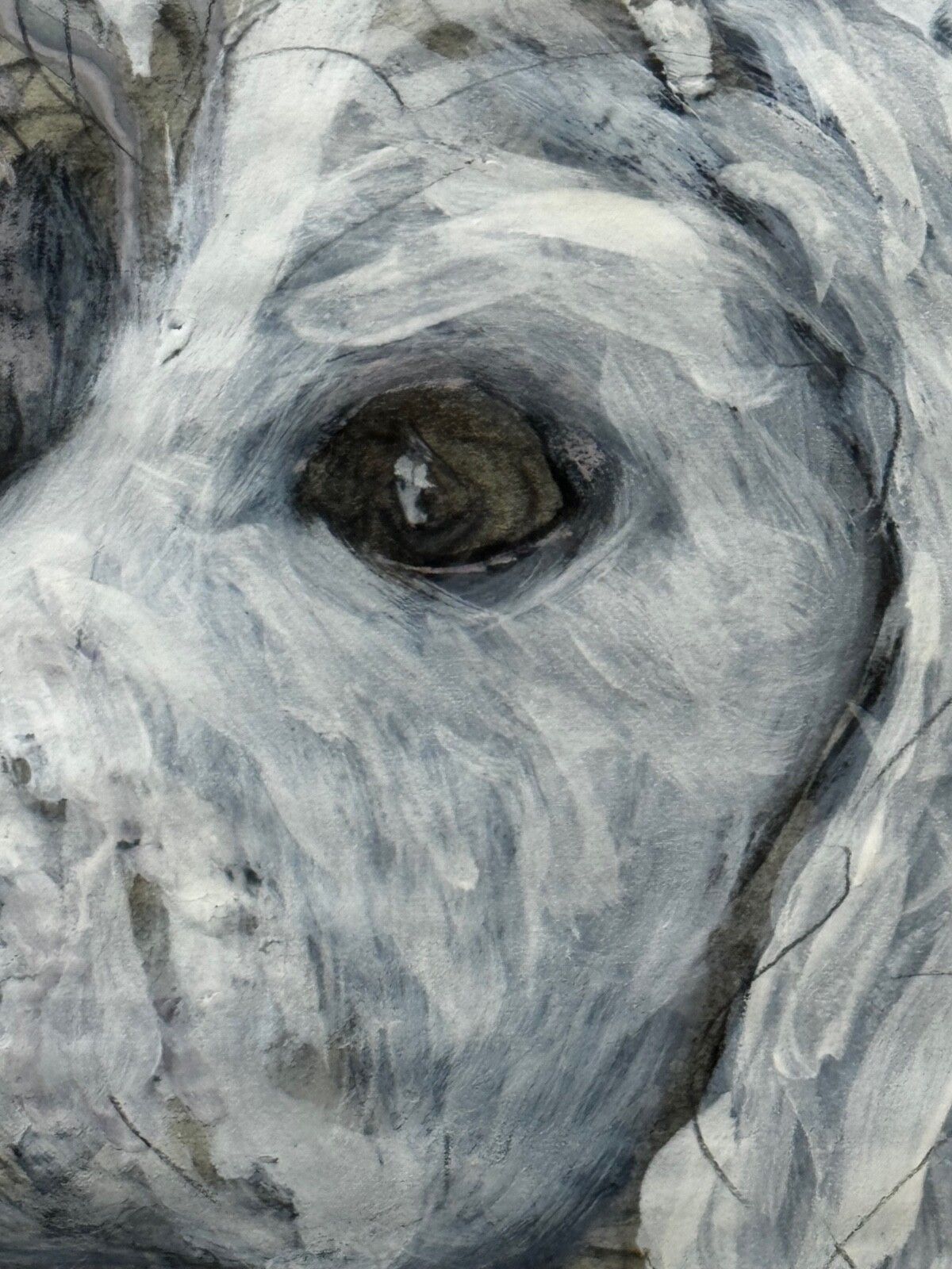 photo vinterior Large Painting Portrait White Poodle Dog By Charles Frederick Tunnicliffe