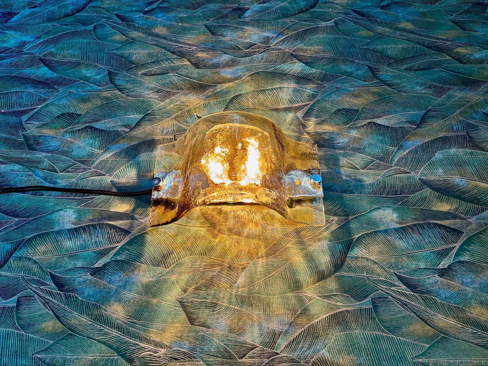 Wall/Ceiling Light By Carlo Nason photo 609.0