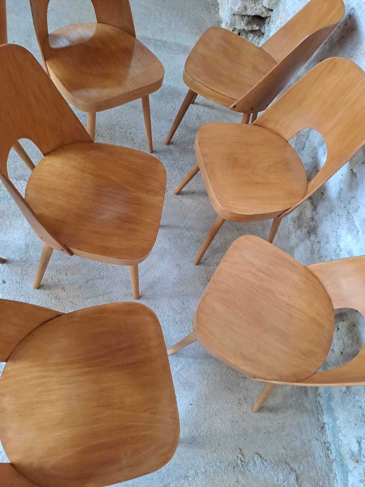 Chaises Ton 515 par Oswald Haerdtl, mid-century tchèques, années 1960, lot de 8 photo for sale