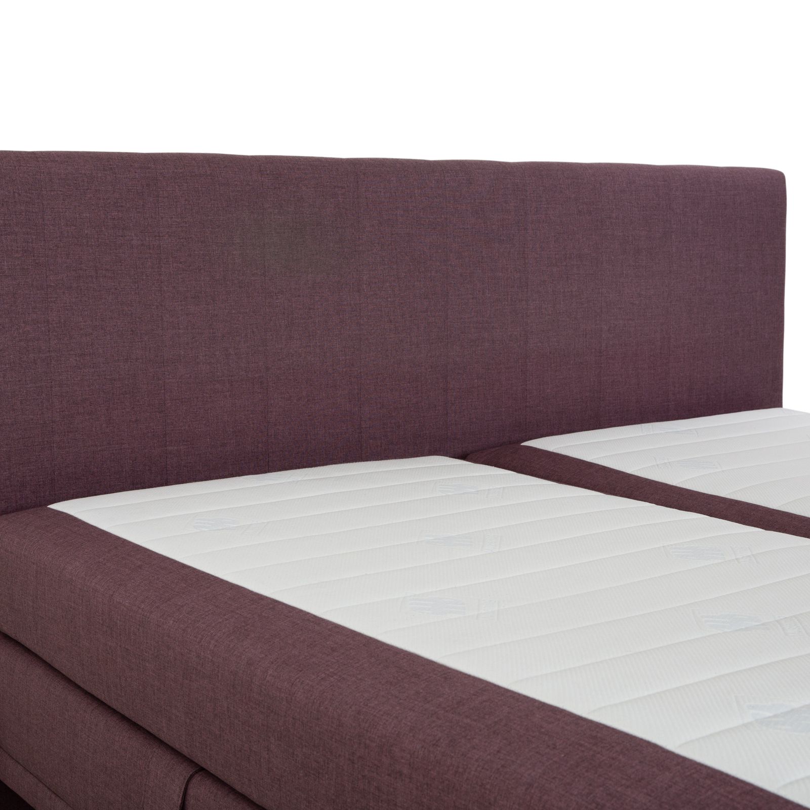photo furniture Musterring Fabric Bed, Purple Rose, Electric Function