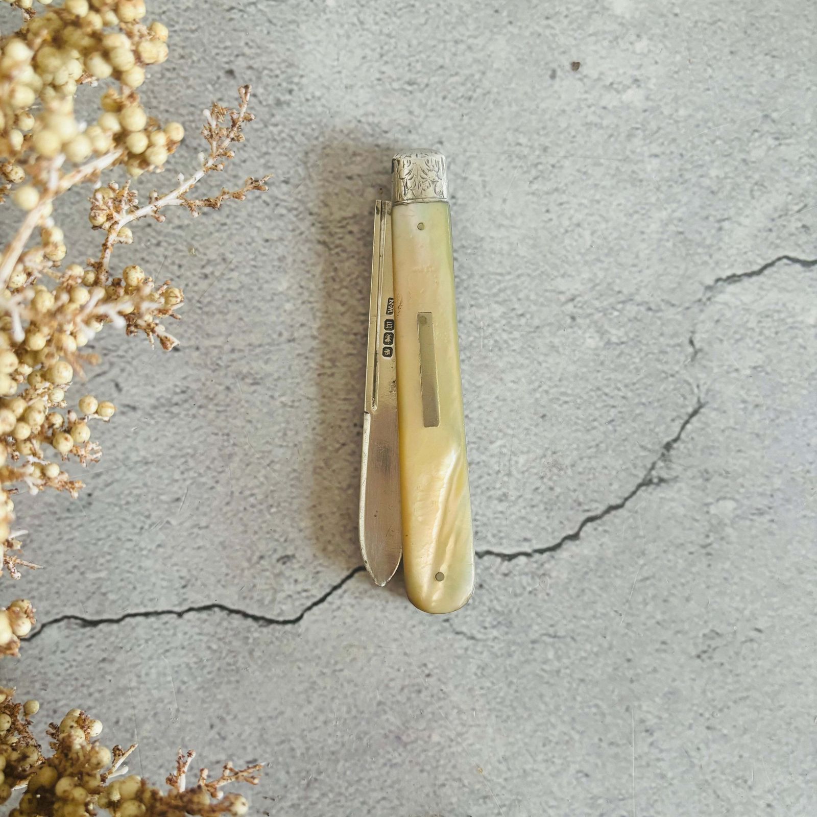 Silver And Mother Of Pearl Folding Fruit Knife 1914 photo for sale