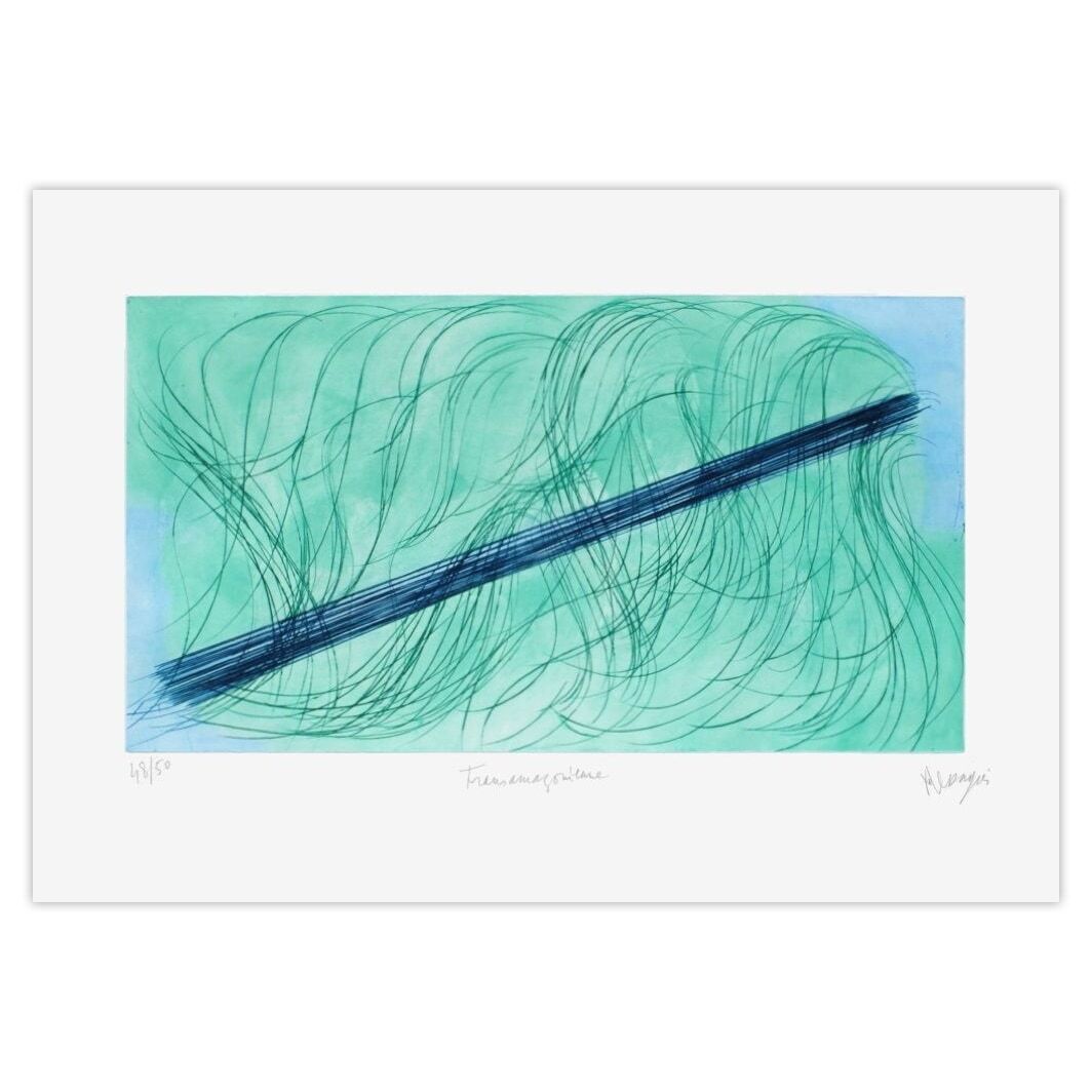 Jean Messagier Signed Aquatint Ap214   Transamazonienne 1974