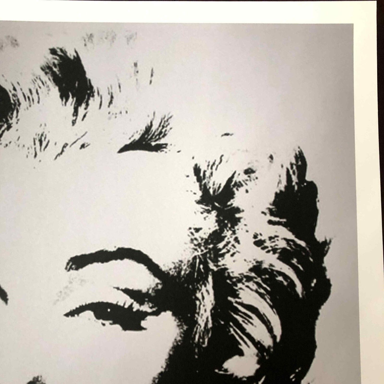 Andy Warhol Lithografie 50x50 cm Nieuwe Cmoa Editie Met Certificaat photo Kunst