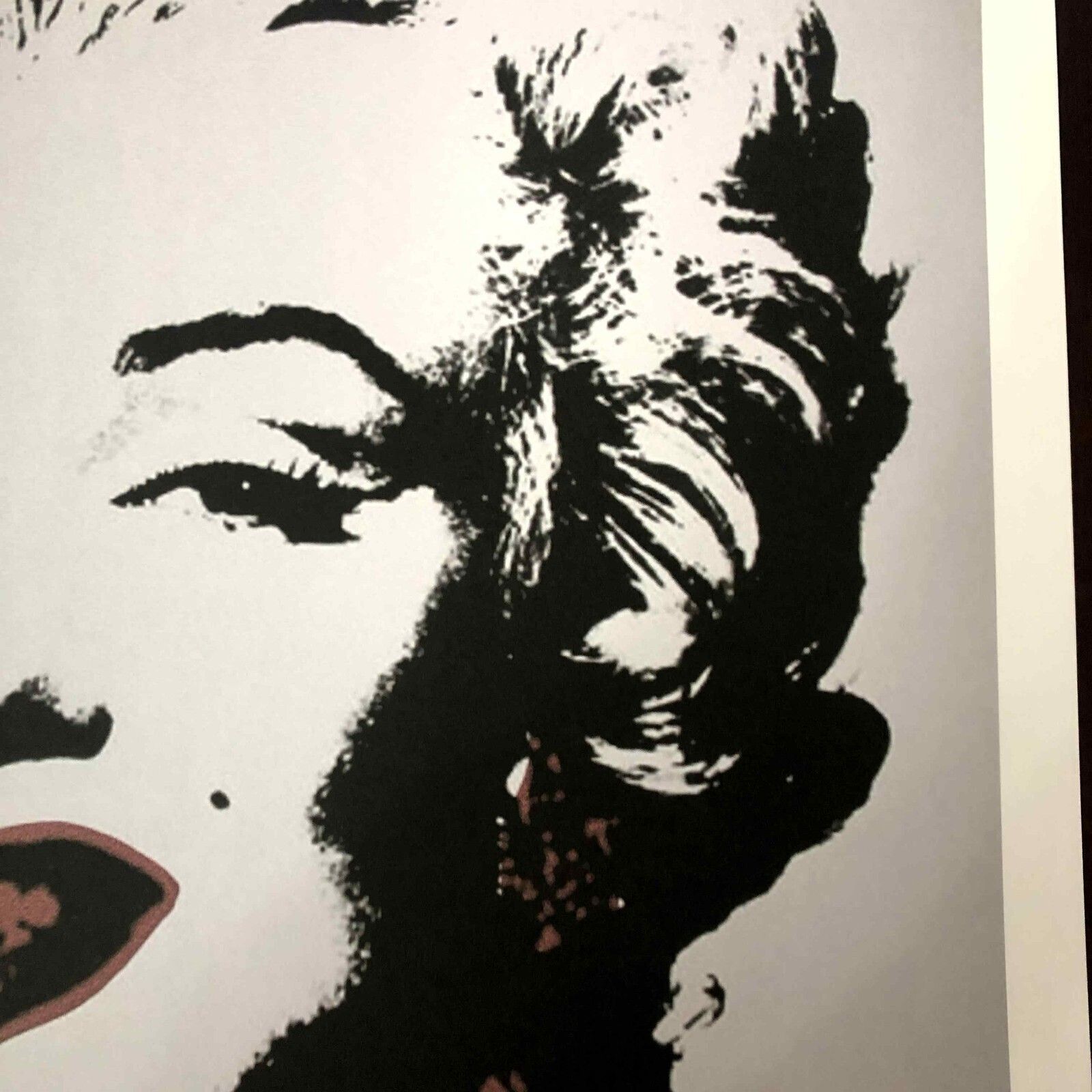 Andy Warhol Lithografie 50x50 cm Nieuwe Cmoa Editie Met Certificaat photo 480.0