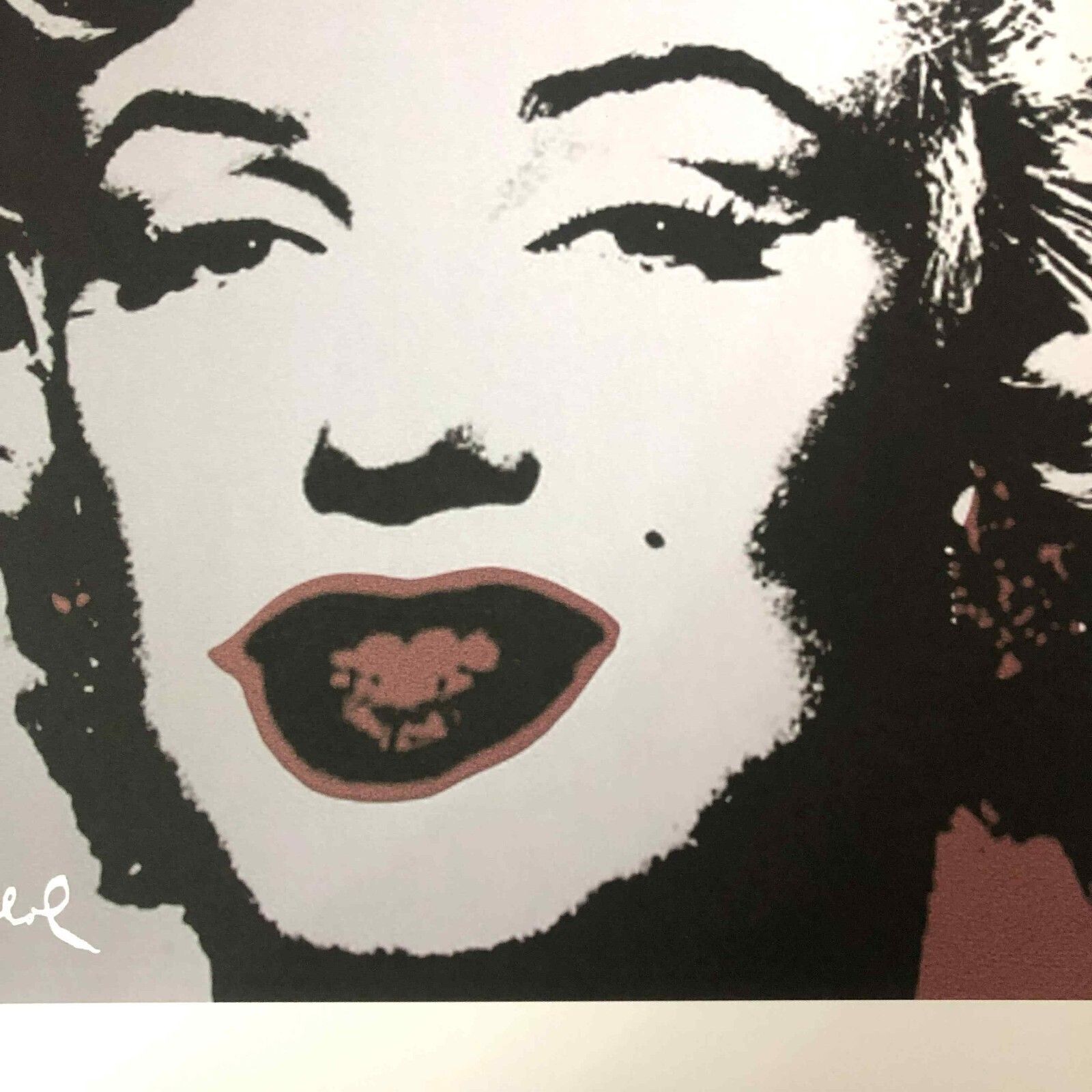 photo furniture Andy Warhol Lithografie 50x50 cm Nieuwe Cmoa Editie Met Certificaat