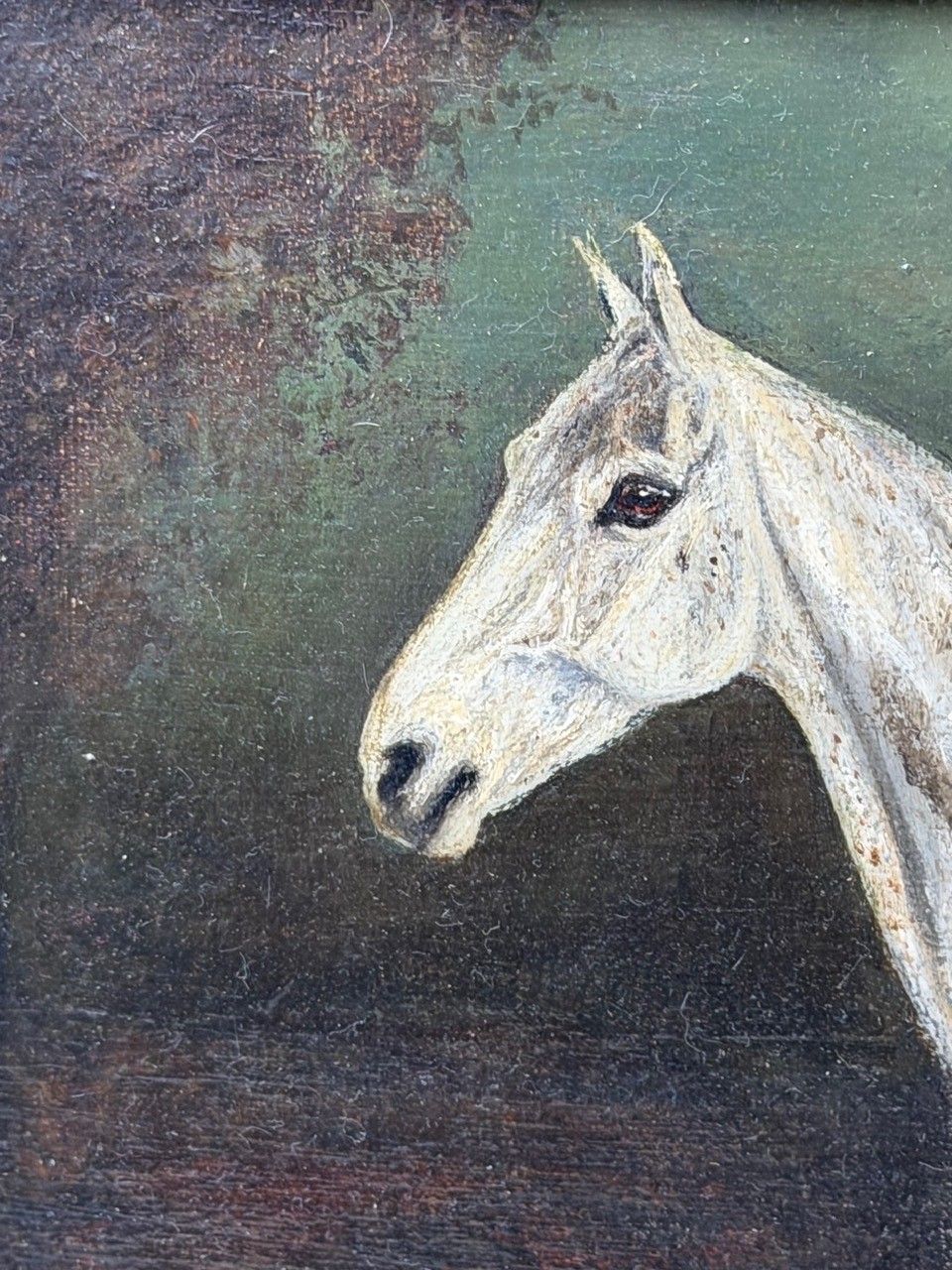 Olieverf portret begin 20e eeuw, Grisette, vleabitten grijze huntingmerrie, sportief, gesigneerd Herbert St. John Jones photo for sale