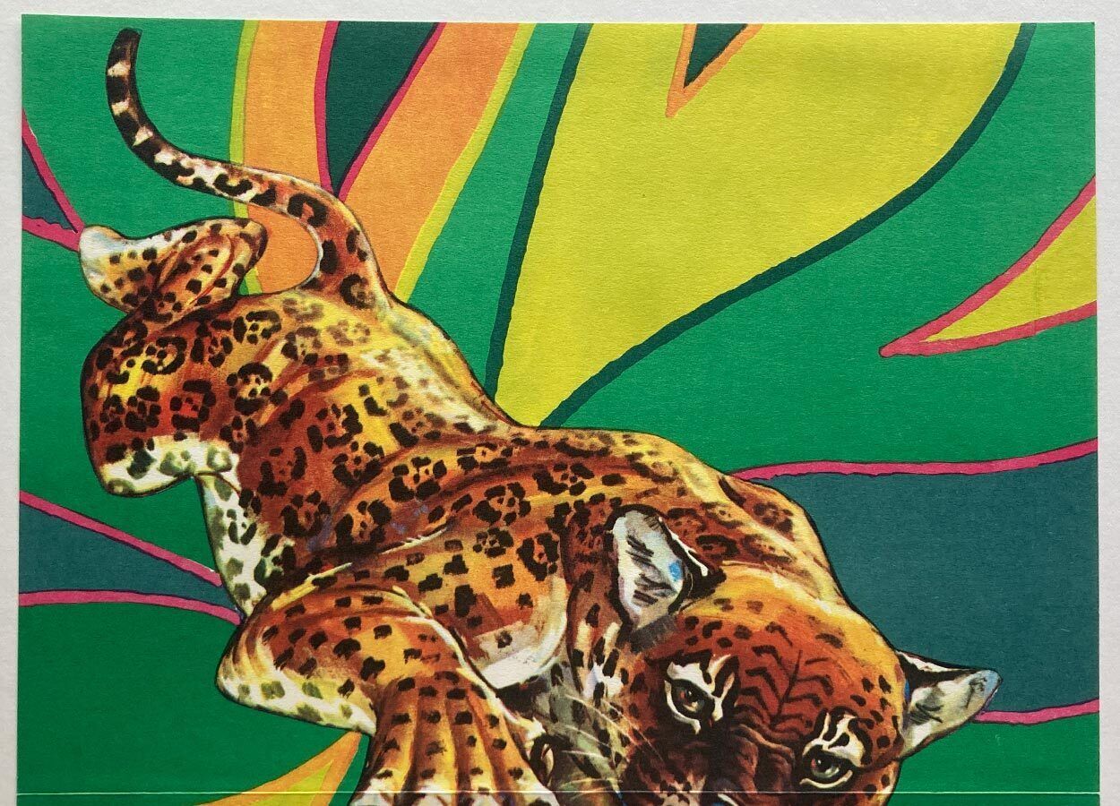 Filmaffiche, Jungle Cat, Dimitrij Kadrnožka, 1979, Tsjechische vintage druk photo furniture