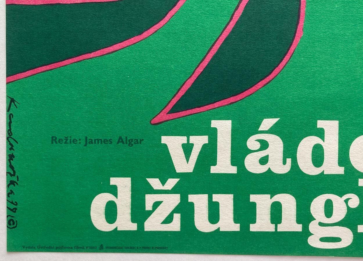 Affiche de cinéma originale, Jungle Cat, Dimitrij Kadrnožka, 1979, impression tchèque vintage photo buy