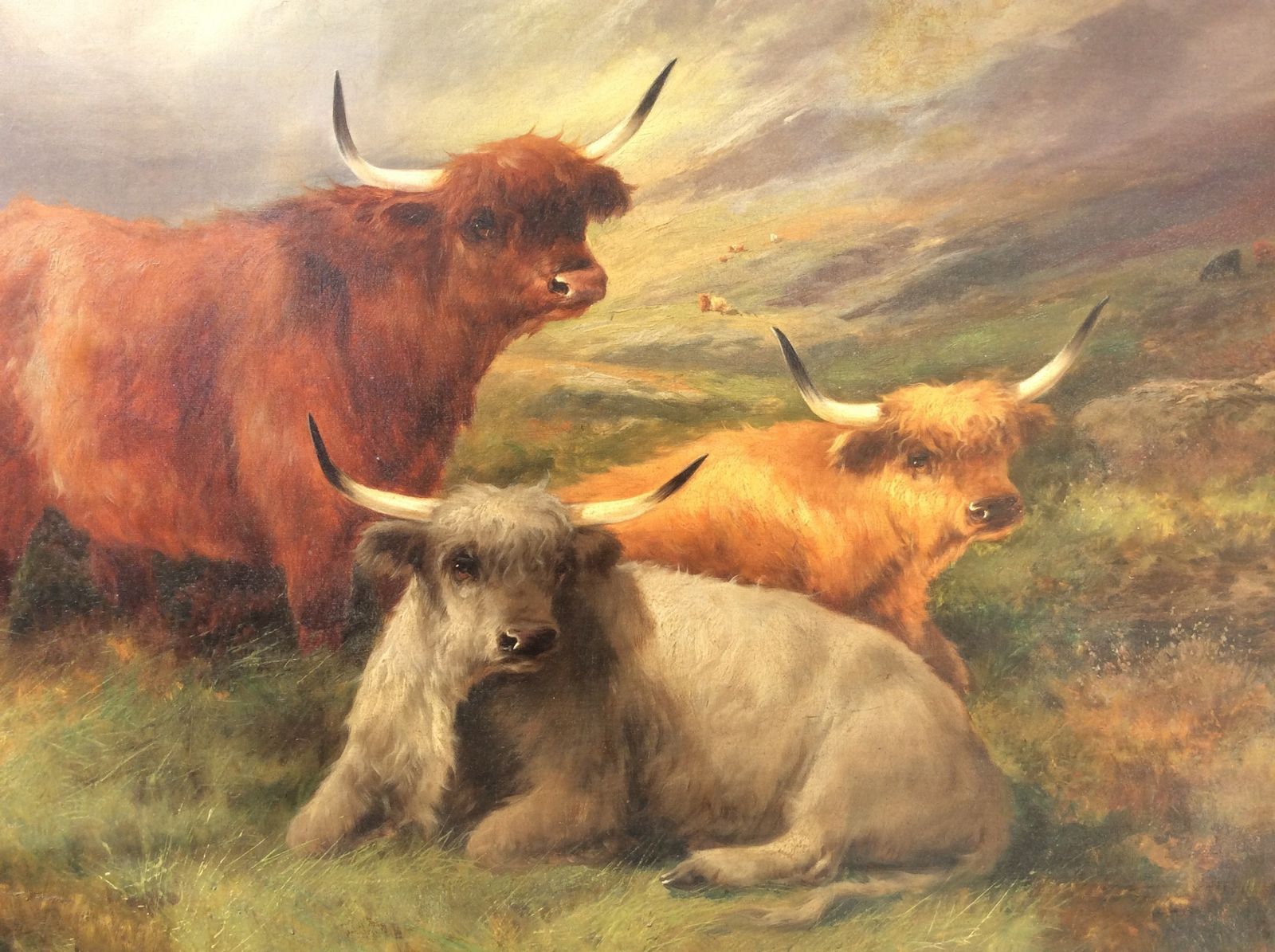 Lovely Large Antique Oil Painting,Scottish Scene Highland Cattle By John W Morris photo vinterior