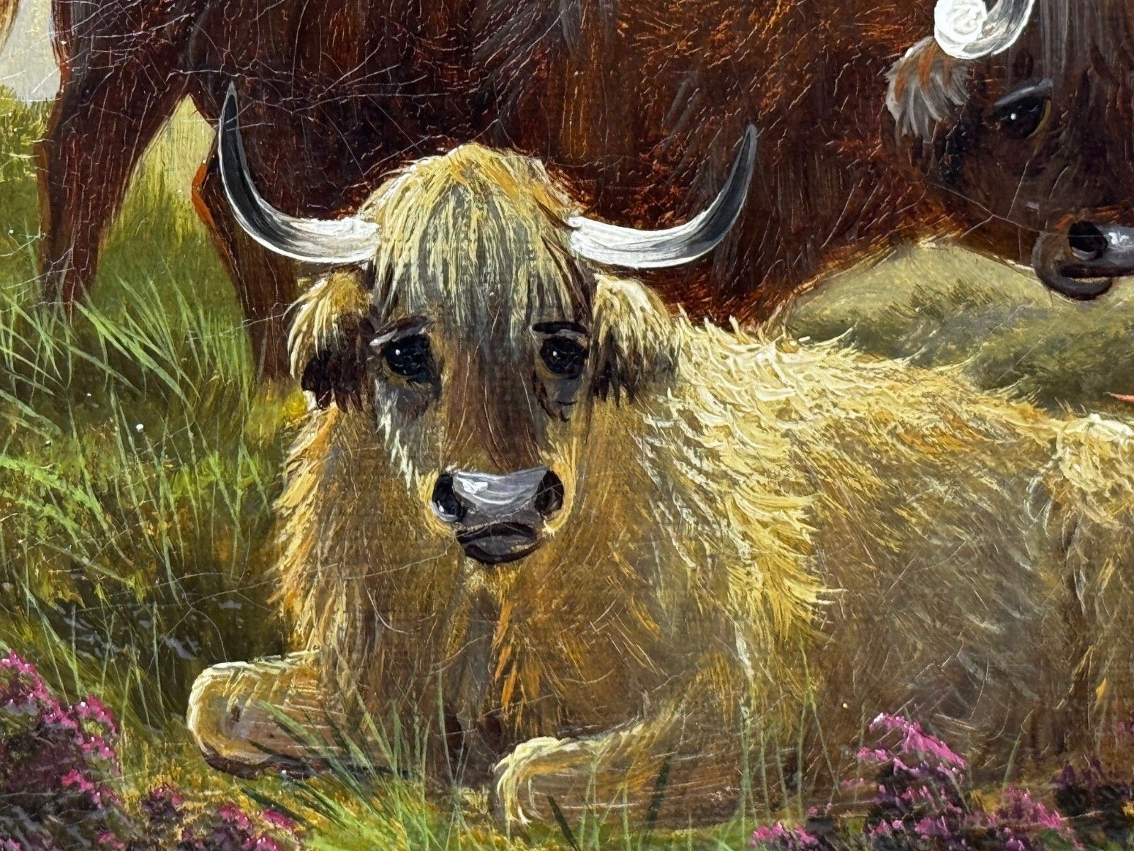 photo for sale Landschapsschilderij in olieverf Ben Lawers First Light Mist Highland Cattle Beside Loch Tay ca. 1880