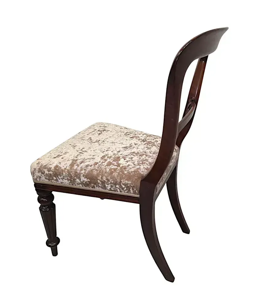 Zeer zeldzame, volledig gerestaureerde set van twaalf 19e-eeuwse eetkamerstoelen, toegeschreven aan Gillows photo 8119.0