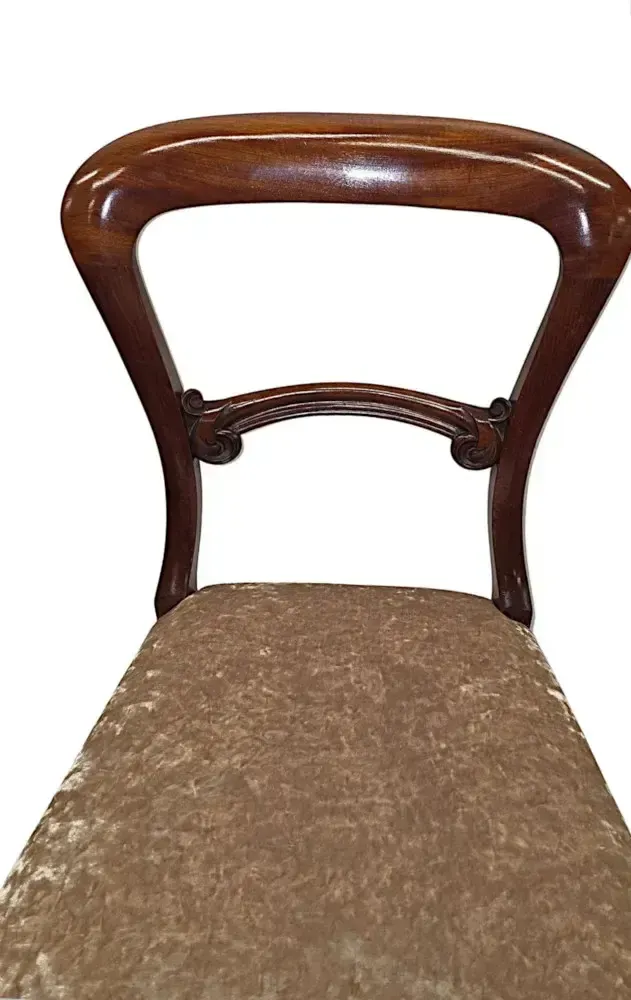 Zeer zeldzame, volledig gerestaureerde set van twaalf 19e-eeuwse eetkamerstoelen, toegeschreven aan Gillows photo vinterior