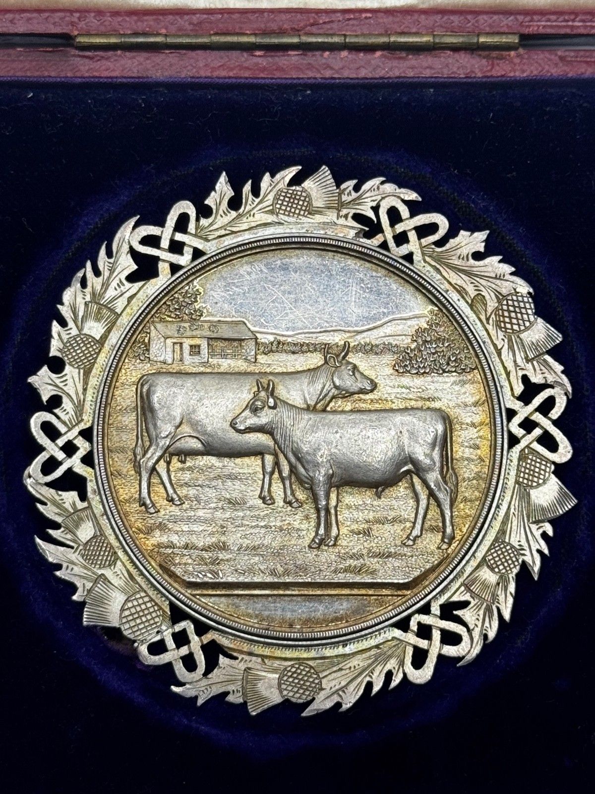 Victoriaanse Schotse zilveren landbouwprijsmedaille Ayrshire koe, kalf en stier photo Kunst