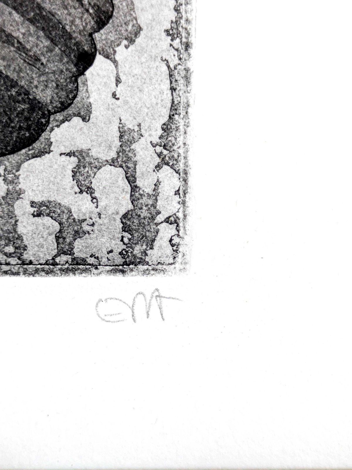 Kunst Eva Ziolkowski gesigneerde ets van katten, genummerd 79/100, "Zweisamkeit", ingelijst wandkunst photo