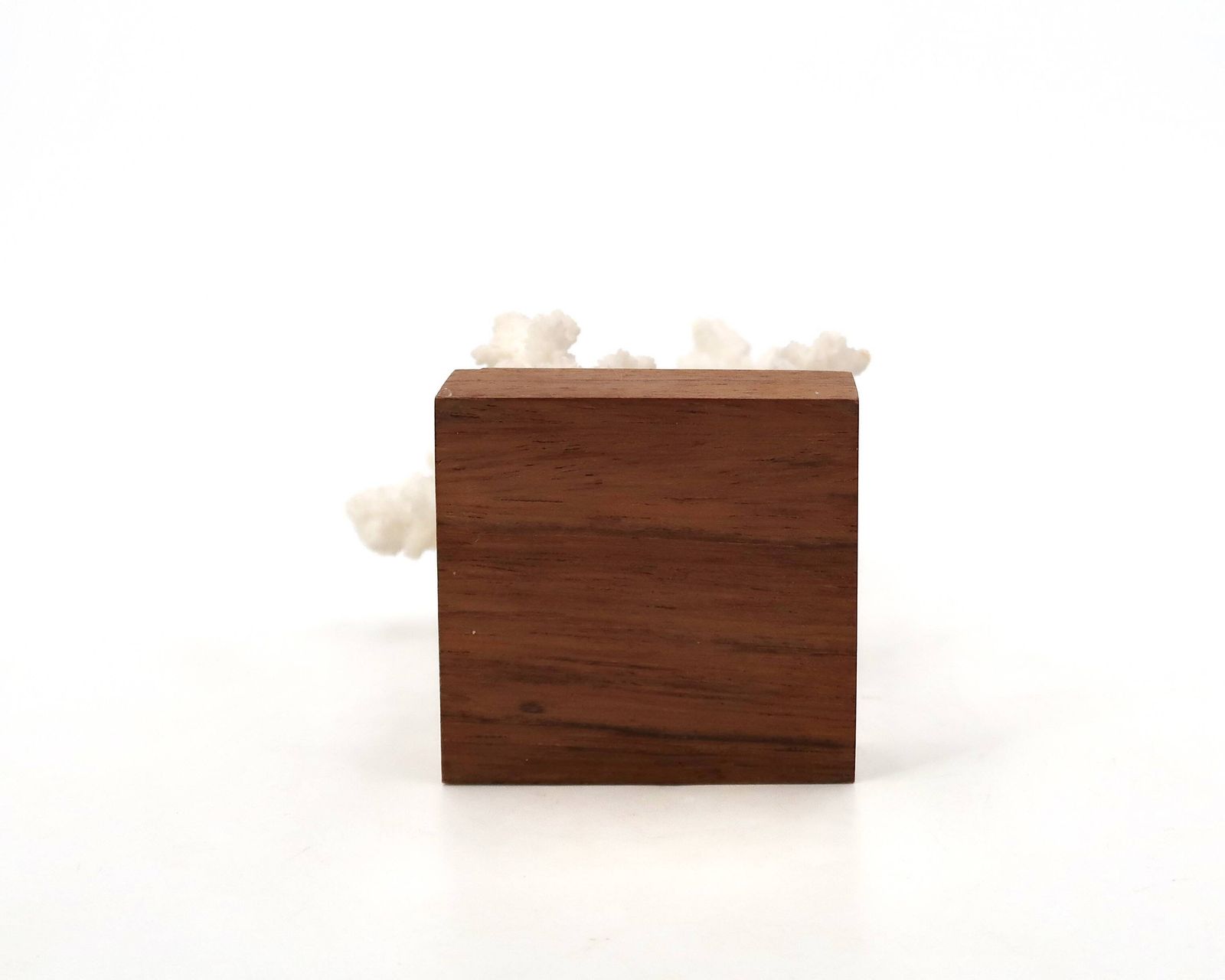 Corail naturel blanc sur socle en bois, années 1970 photo vinterior