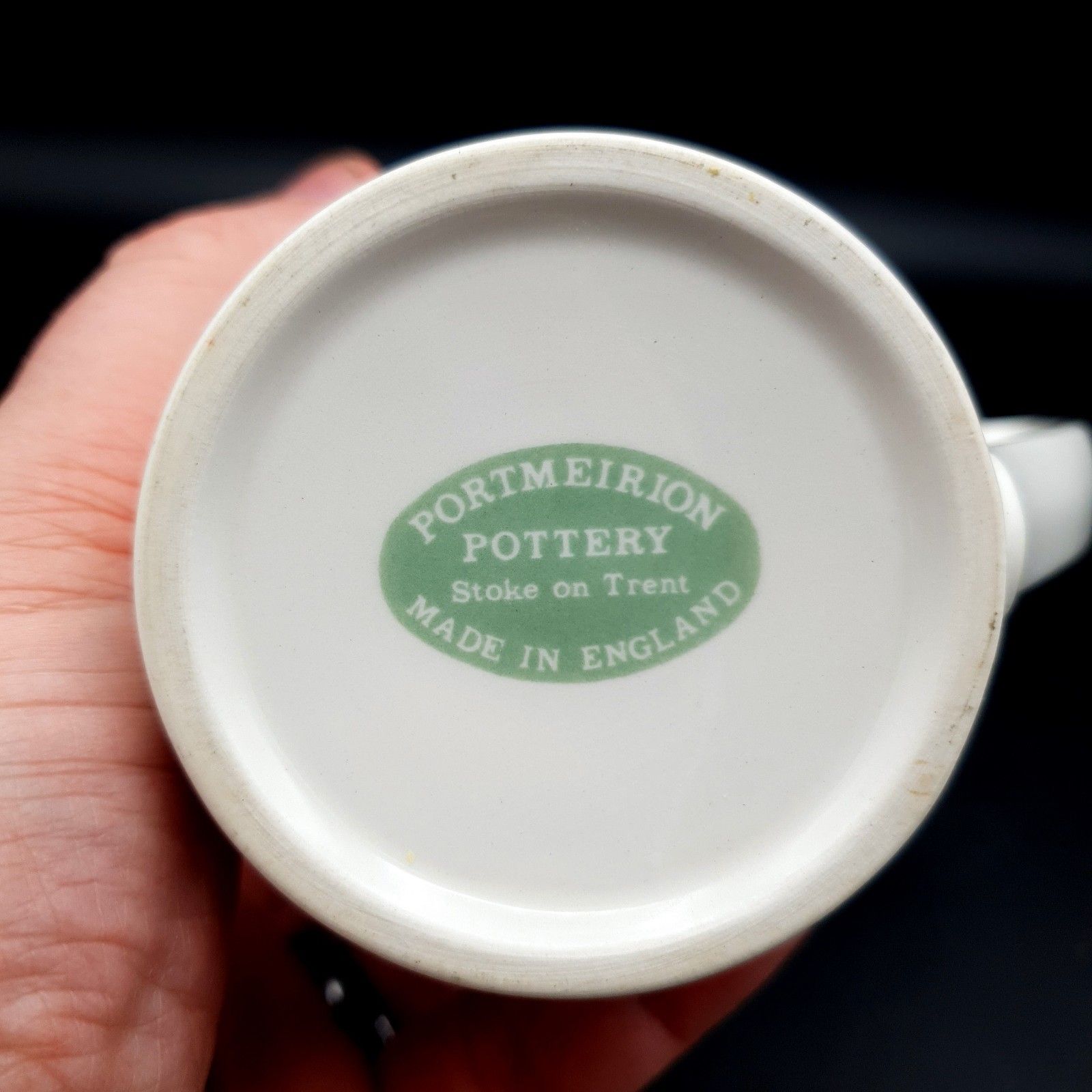 photo furniture Portmeirion Compleat Angler Fern Sewen Welsh Sea Trout No.3 Mug Scarce