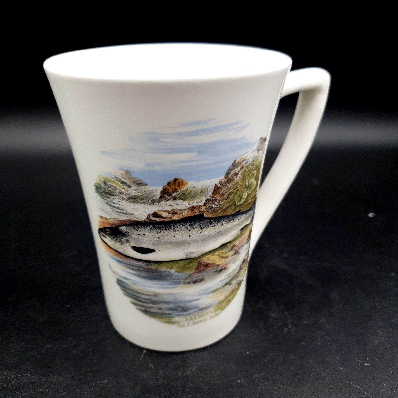 Portmeirion Compleat Angler Fern Salmon No.1 Salmo Salar Mug Scarce Fishing