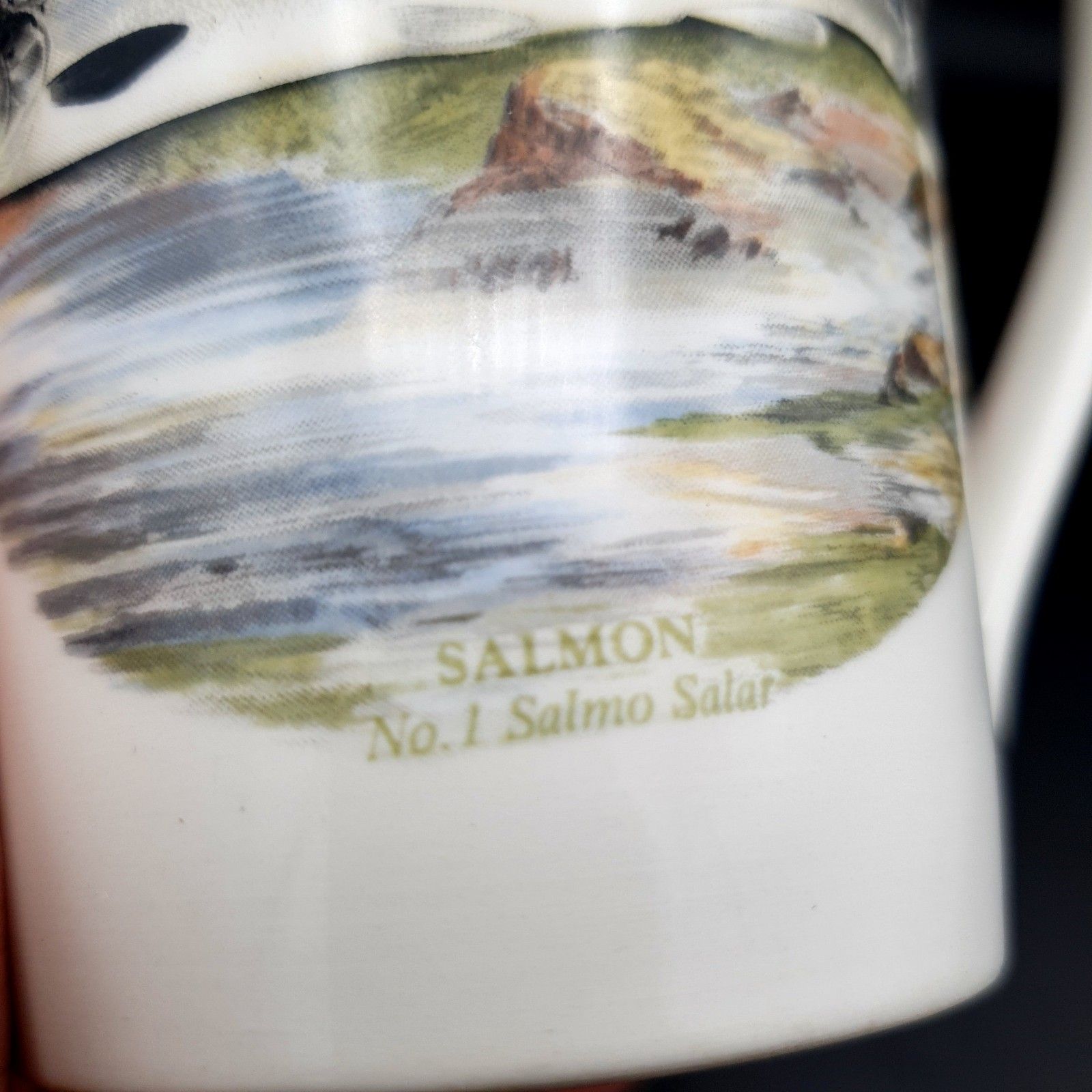 Portmeirion Compleat Angler Fern Salmon No.1 Salmo Salar Mug Scarce Fishing photo buy