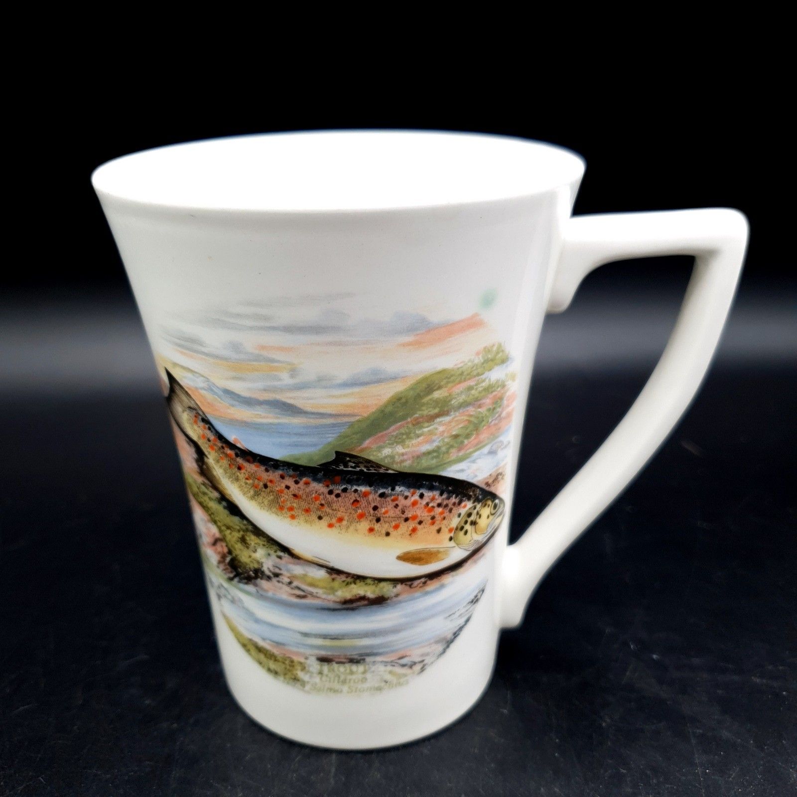 Portmeirion Compleat Angler Fern Trout Gillaroo No. 4 Mug 1981+ Scarce Fishing