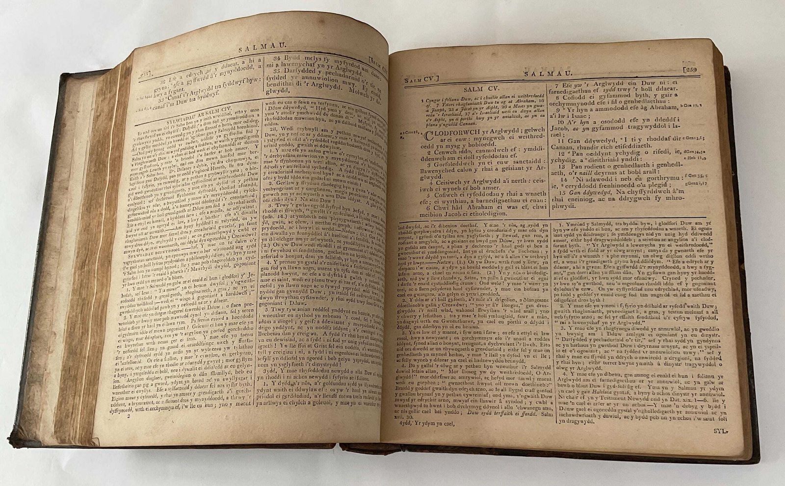 Home Decor Antique Welsh Family Bible From 1808, By Thomas Coke, Full Calf Binding photo