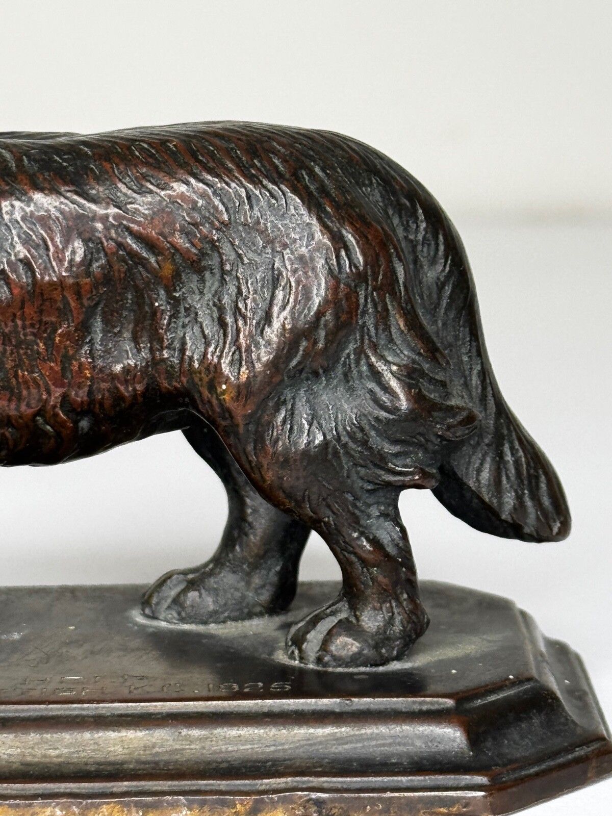 Antiek Schots Kennel Club Association Newfoundland hond bronzen sculptuur photo buy