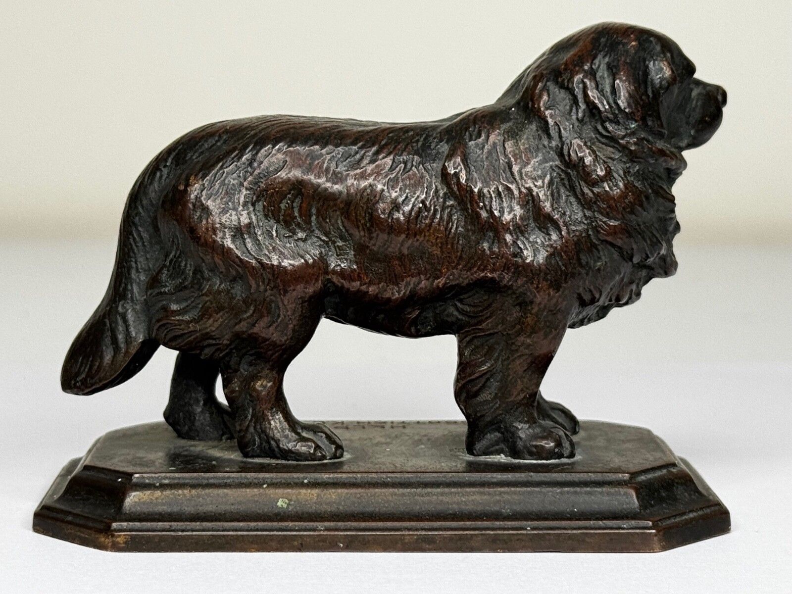photo vintage Antiek Schots Kennel Club Association Newfoundland hond bronzen sculptuur
