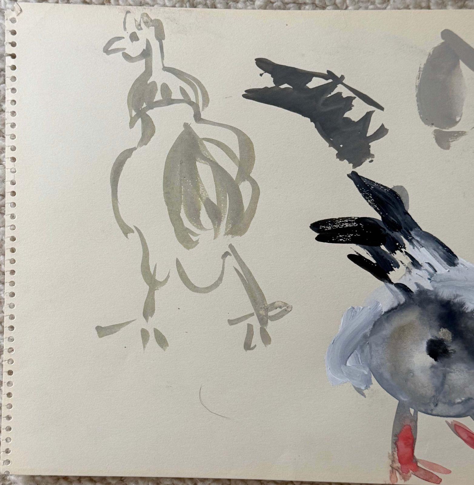 Pigeon Studies French Modernist Bird Study Gouache 1950's Painting photo Art