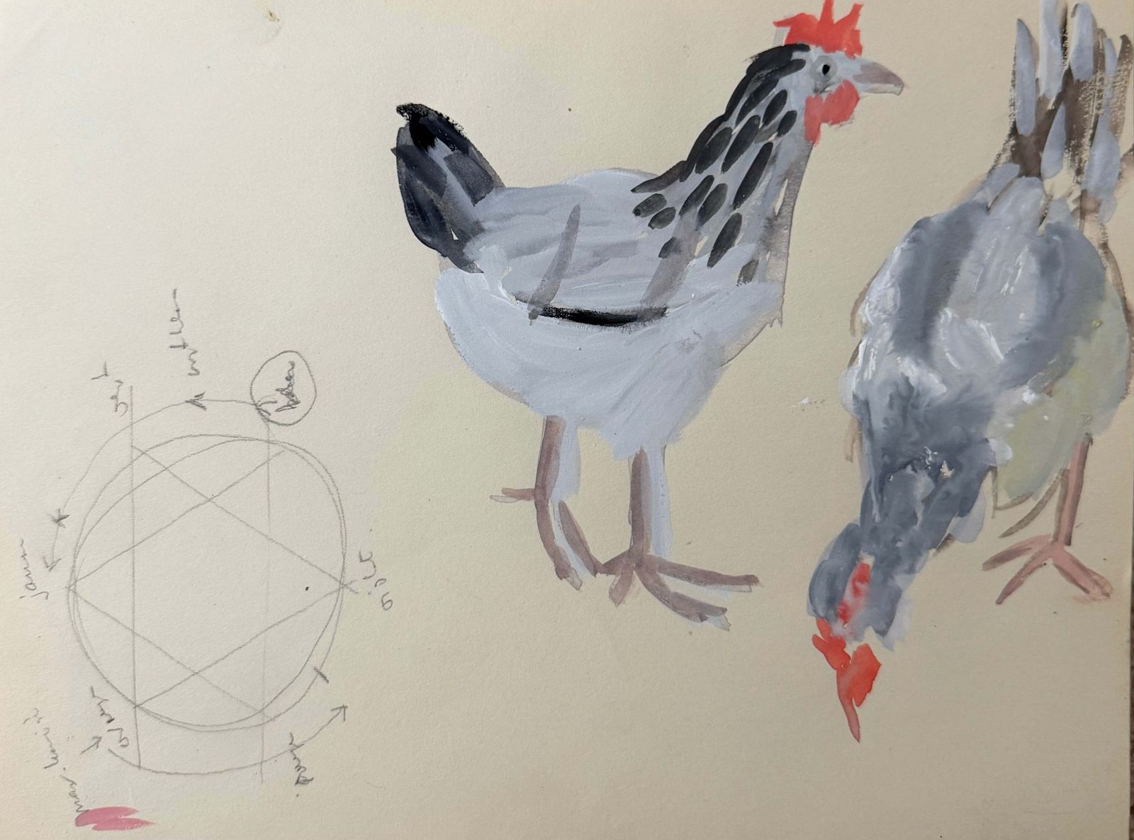 Étude animalière moderniste, poules Light Sussex, gouache, Laure Noetzlin-Azam