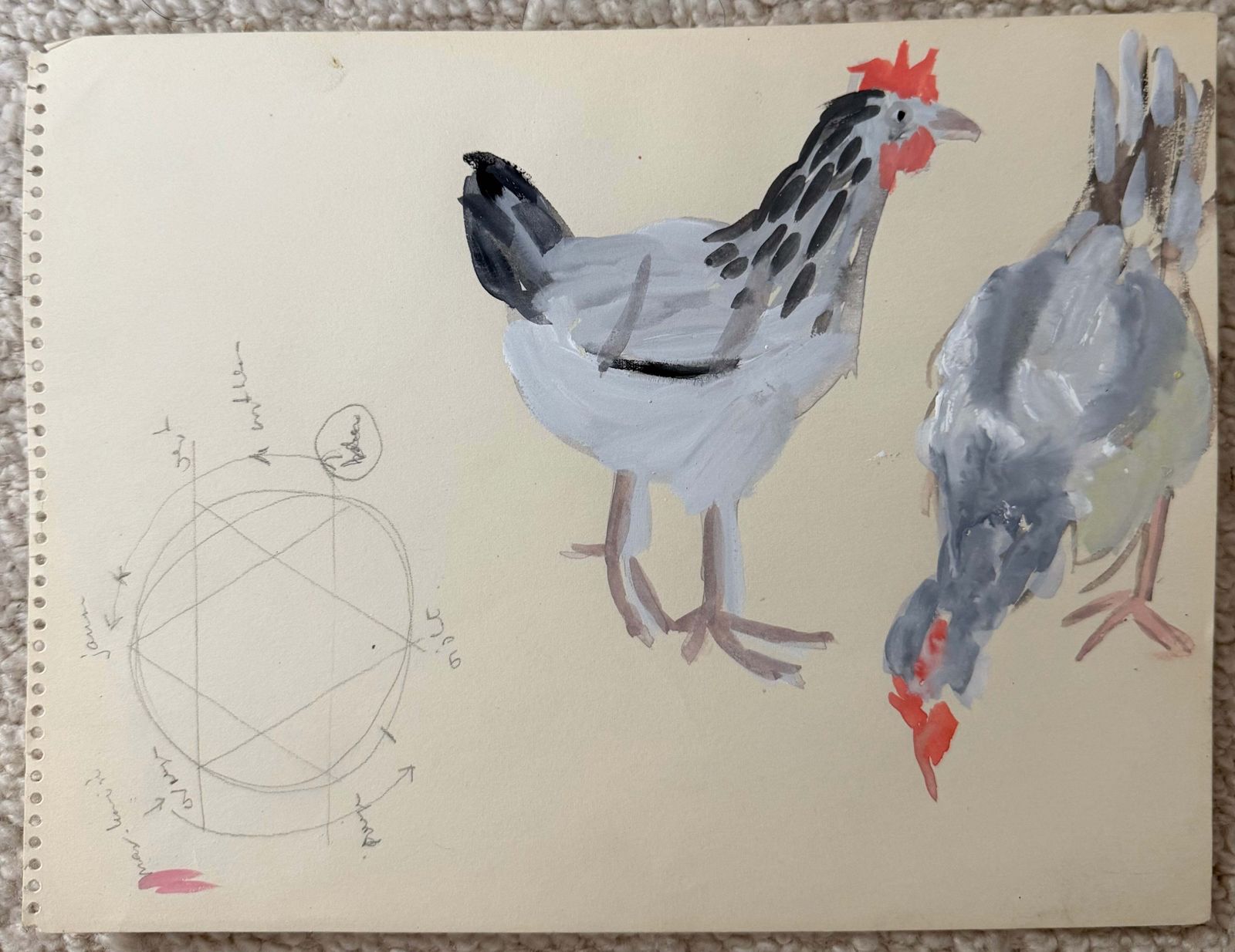 Étude animalière moderniste, poules Light Sussex, gouache, Laure Noetzlin-Azam photo furniture