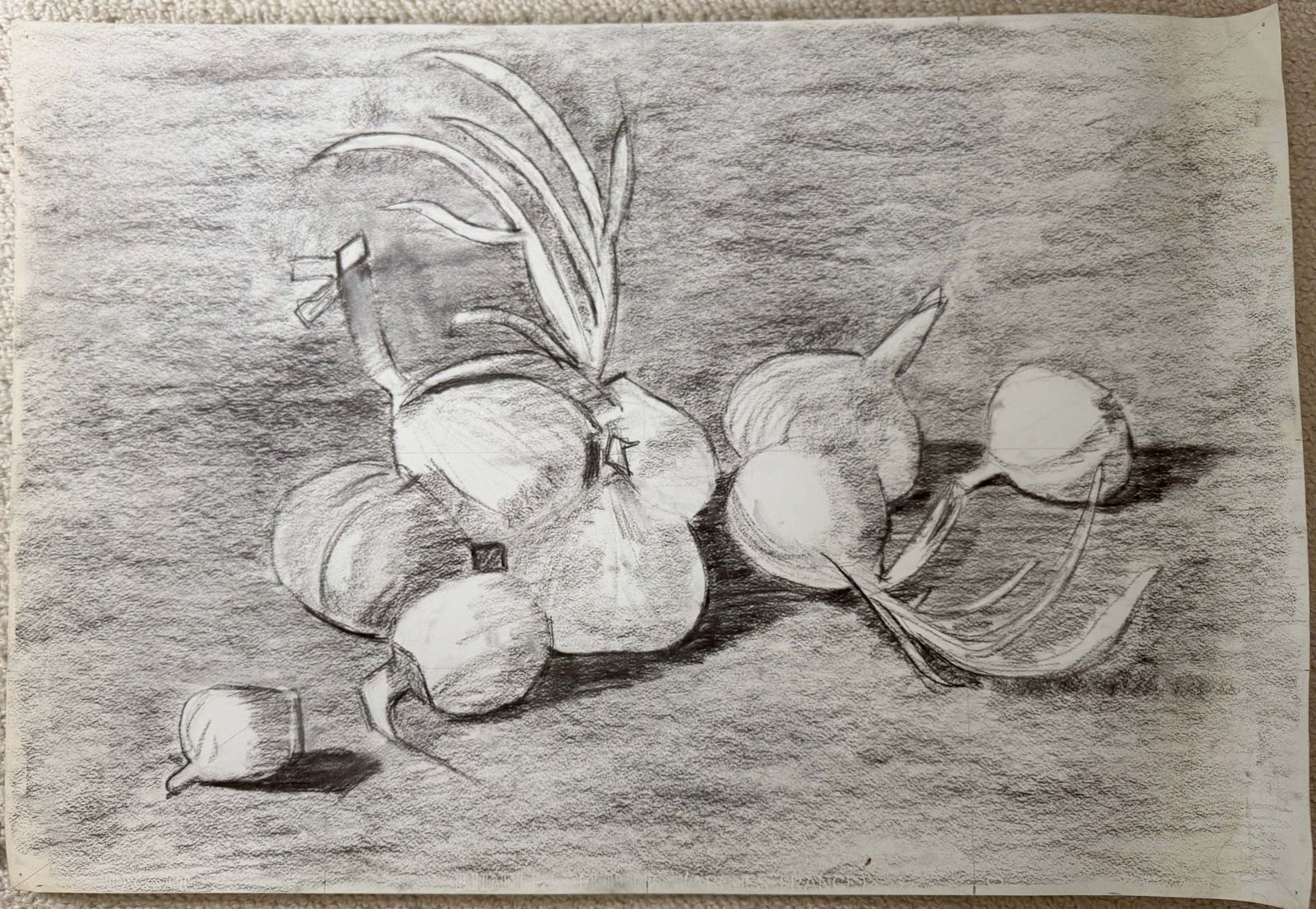 Nature morte aux oignons, dessin moderniste français au fusain et crayon, années 1950 photo furniture