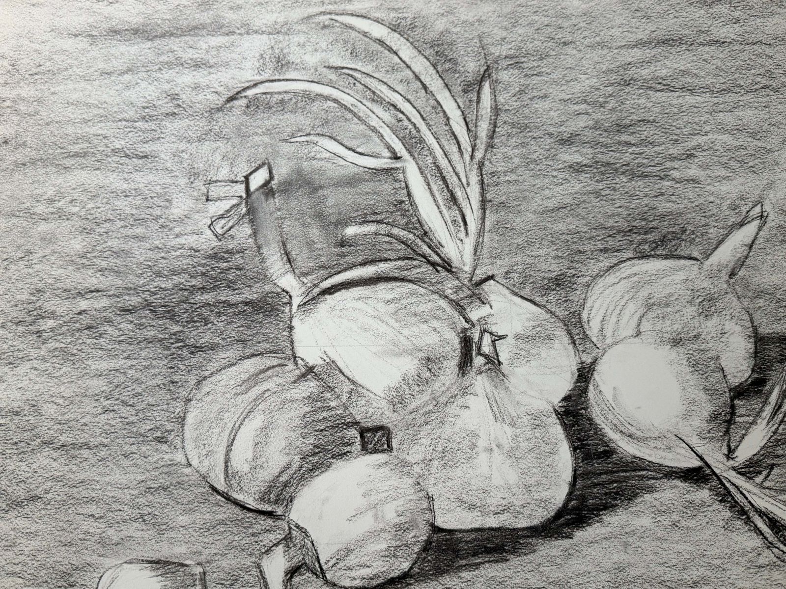 Nature morte aux oignons, dessin moderniste français au fusain et crayon, années 1950 photo Art