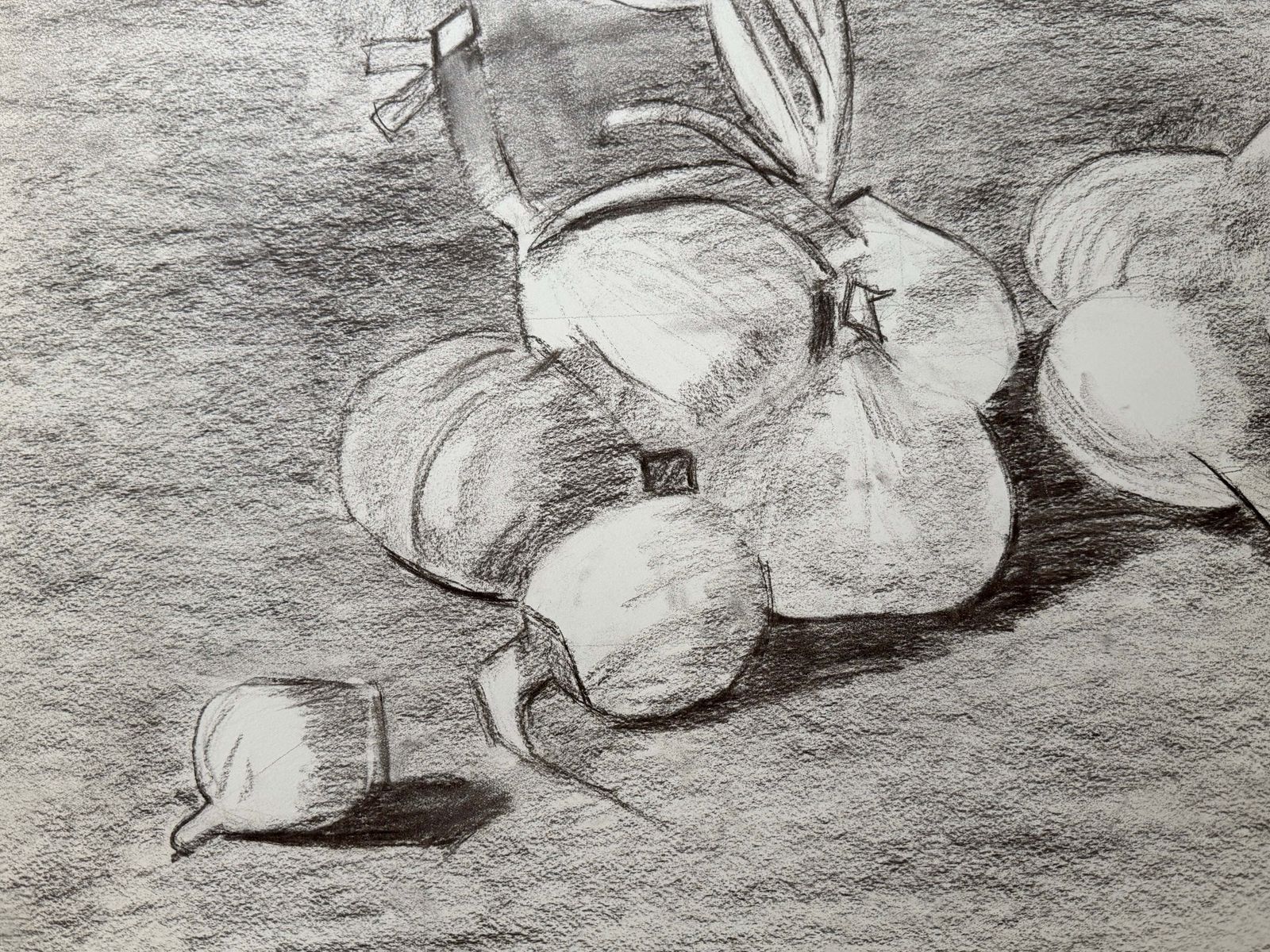 Nature morte aux oignons, dessin moderniste français au fusain et crayon, années 1950 photo 505.0