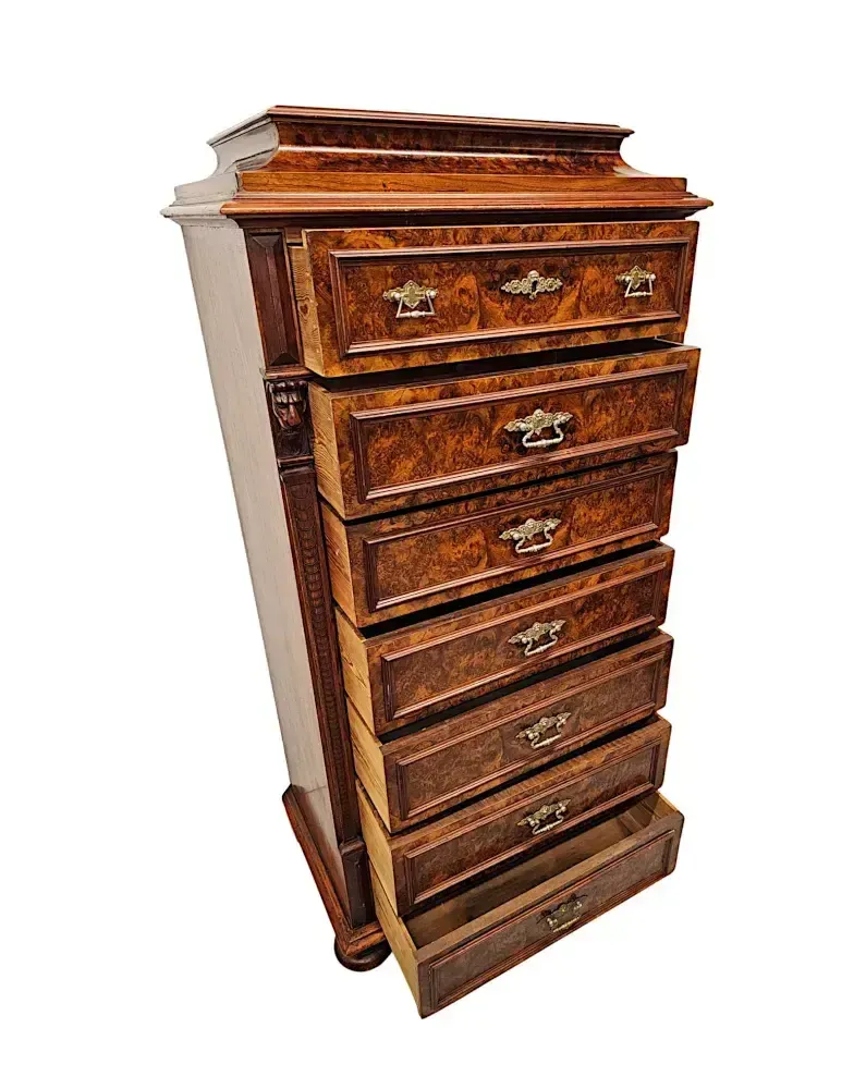 A Very Rare 19th Century Massive Wellington Style Chest Of Tall Drawers photo vinterior