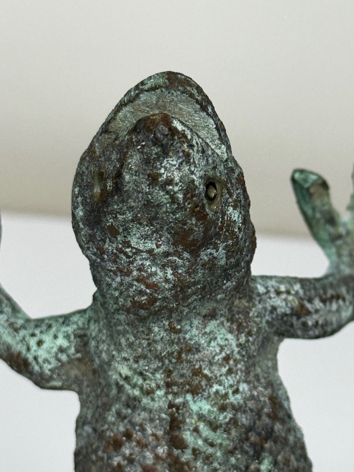 photo buy Bronzen deurklopper in de vorm van een gekko, zuidwesten van de VS, in de stijl van Oscar Bach
