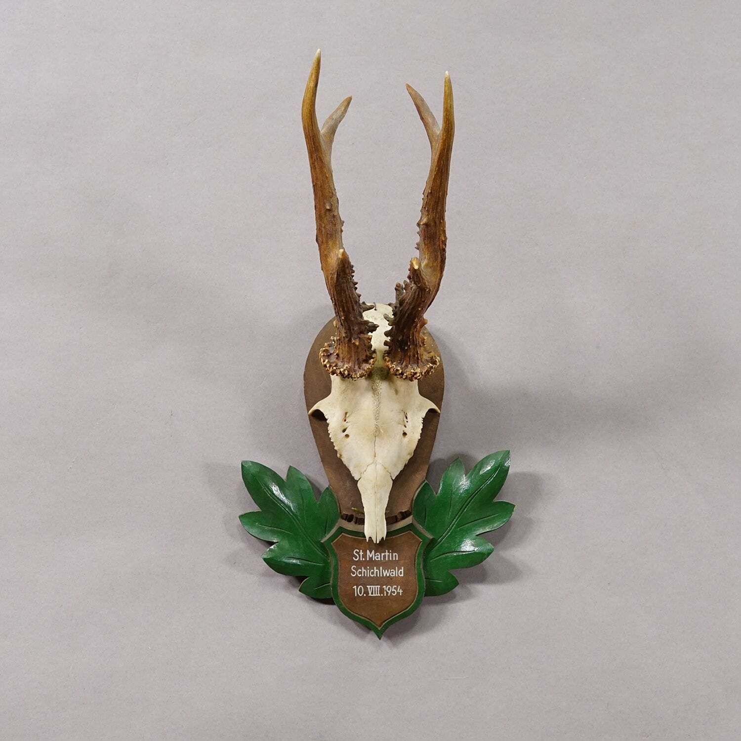 Great Black Forest Red Deer Trophy On Carved Plaque   Germany 1954 photo furniture