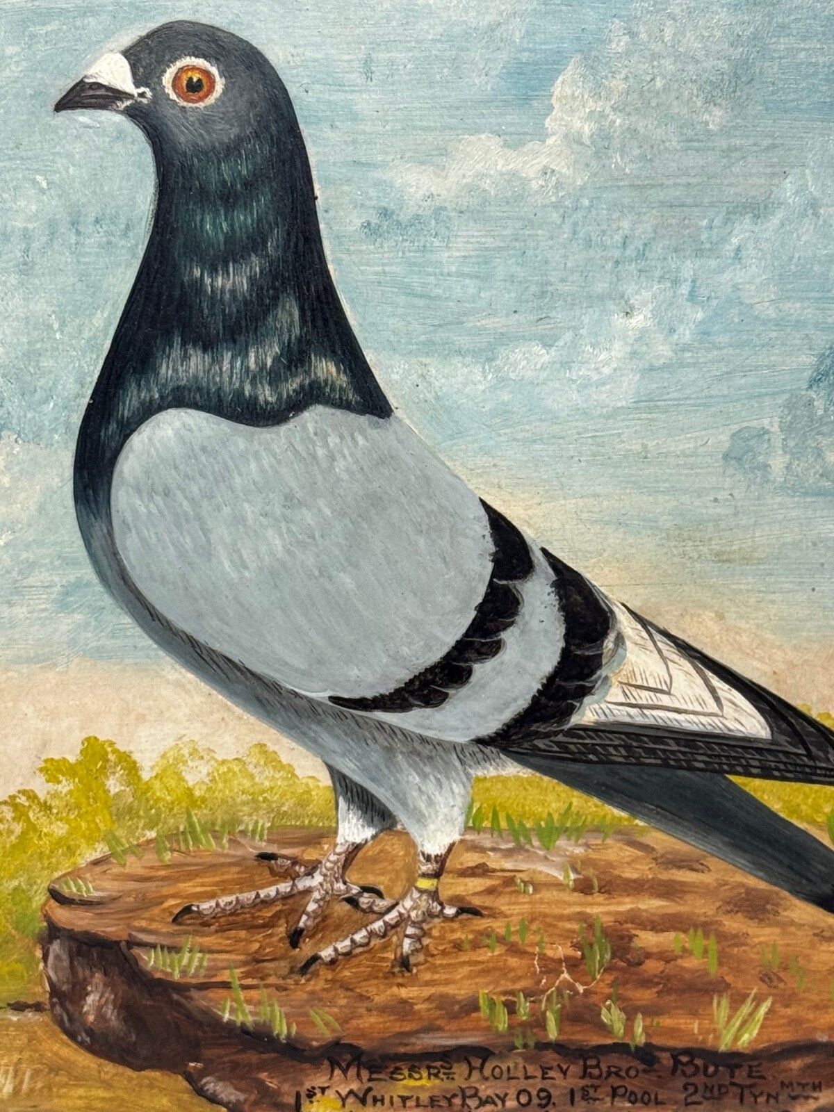Old Badge Hen & Holley Brothers – British Racing Pigeon Painting photo Art