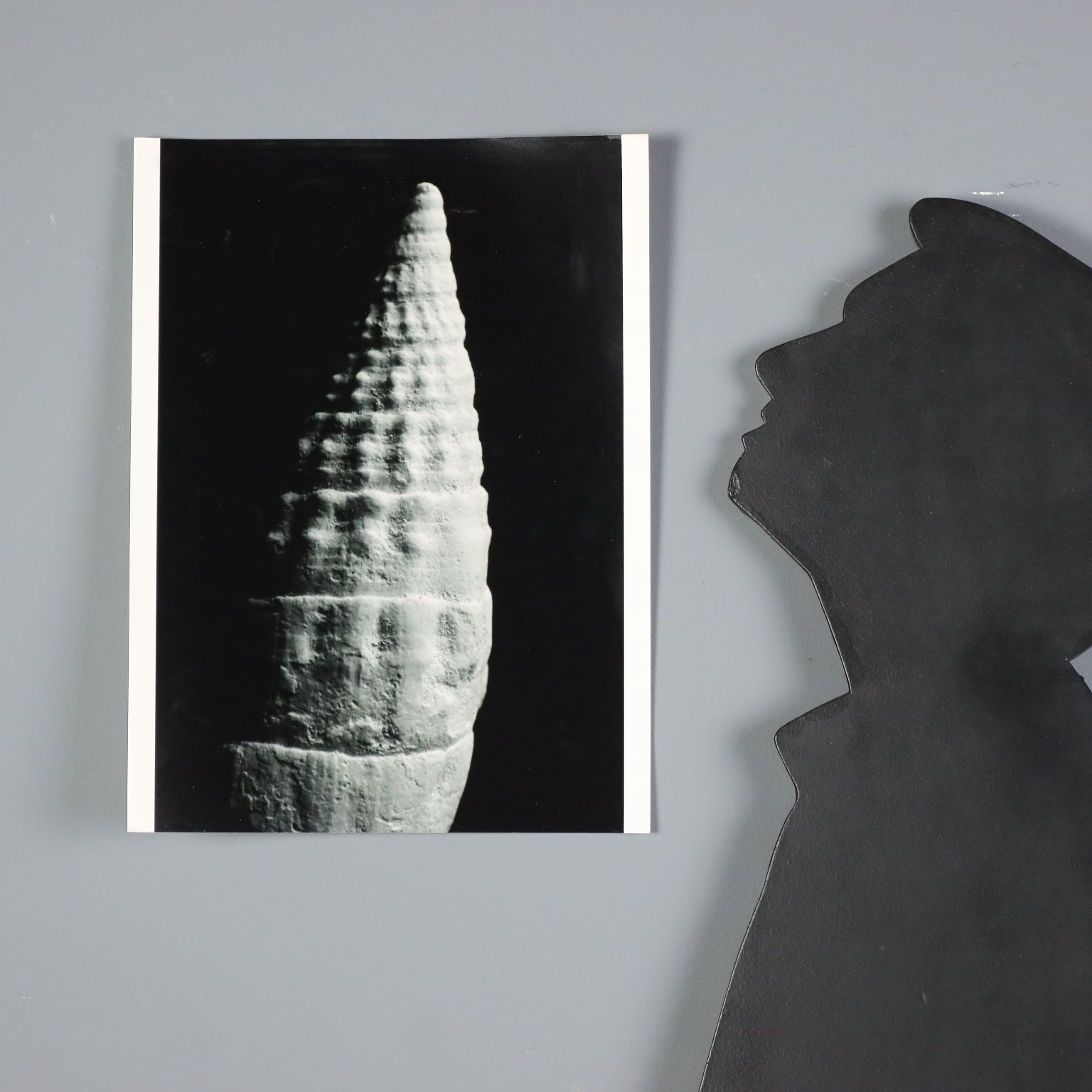 Group Eight Photographs By Nicoletta Giordano Black And White Italy photo furniture