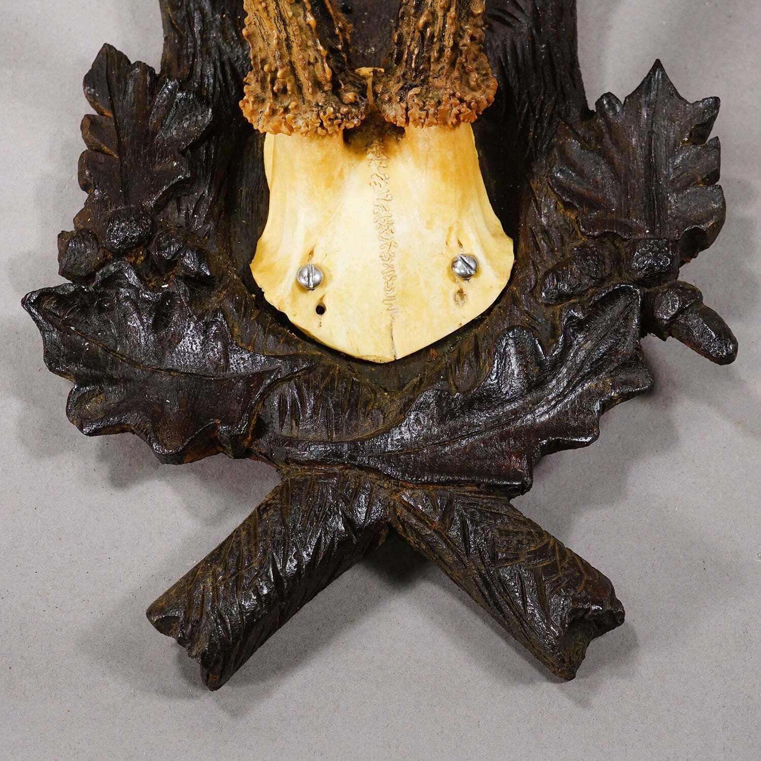 Antiek Edelhertgewei op Gesneden Plaquette, Zwarte Woud, Duitsland 1900 photo Woonaccessoires