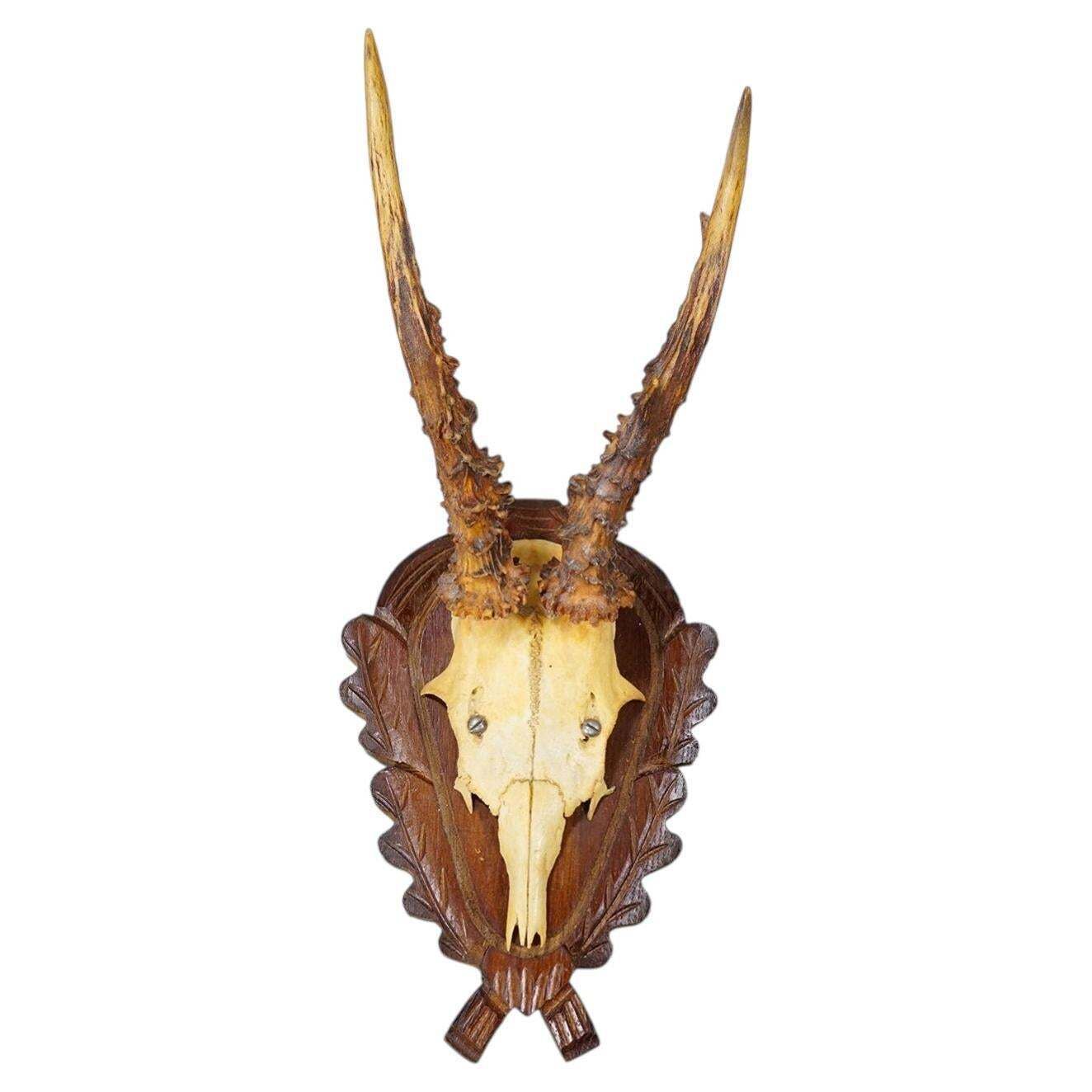 Vintage Black Forest Red Deer Trophy On Carved Plaque, Germany 1950s