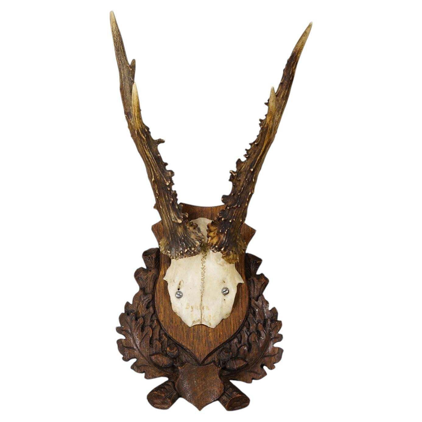 Black Forest Red Deer Trophy On Carved Plaque, Germany 1930s