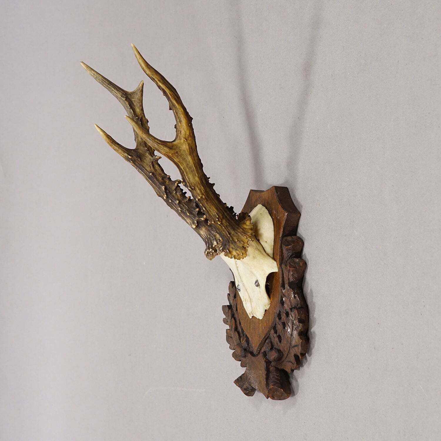 Black Forest Red Deer Trophy On Carved Plaque, Germany 1930s photo furniture