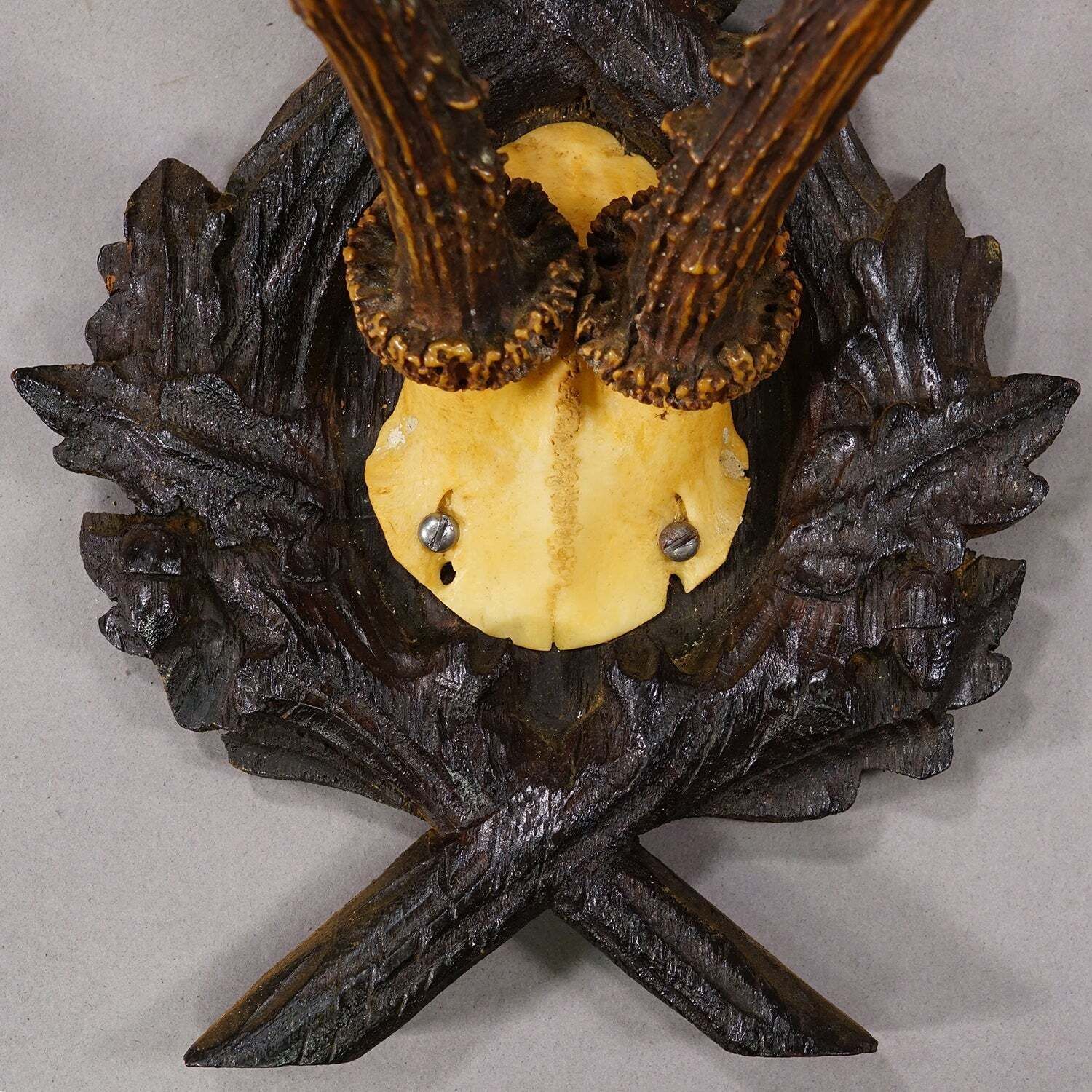 Antiek Edelhertgewei op Gesneden Plaquette, Zwarte Woud, Duitsland 1900 photo for sale