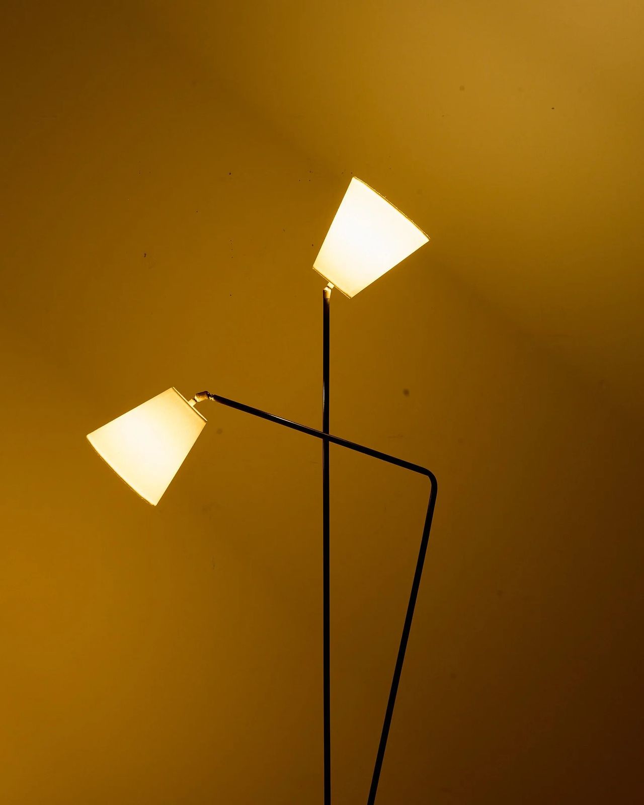 Two Armed Lamp, 1950s photo vinterior