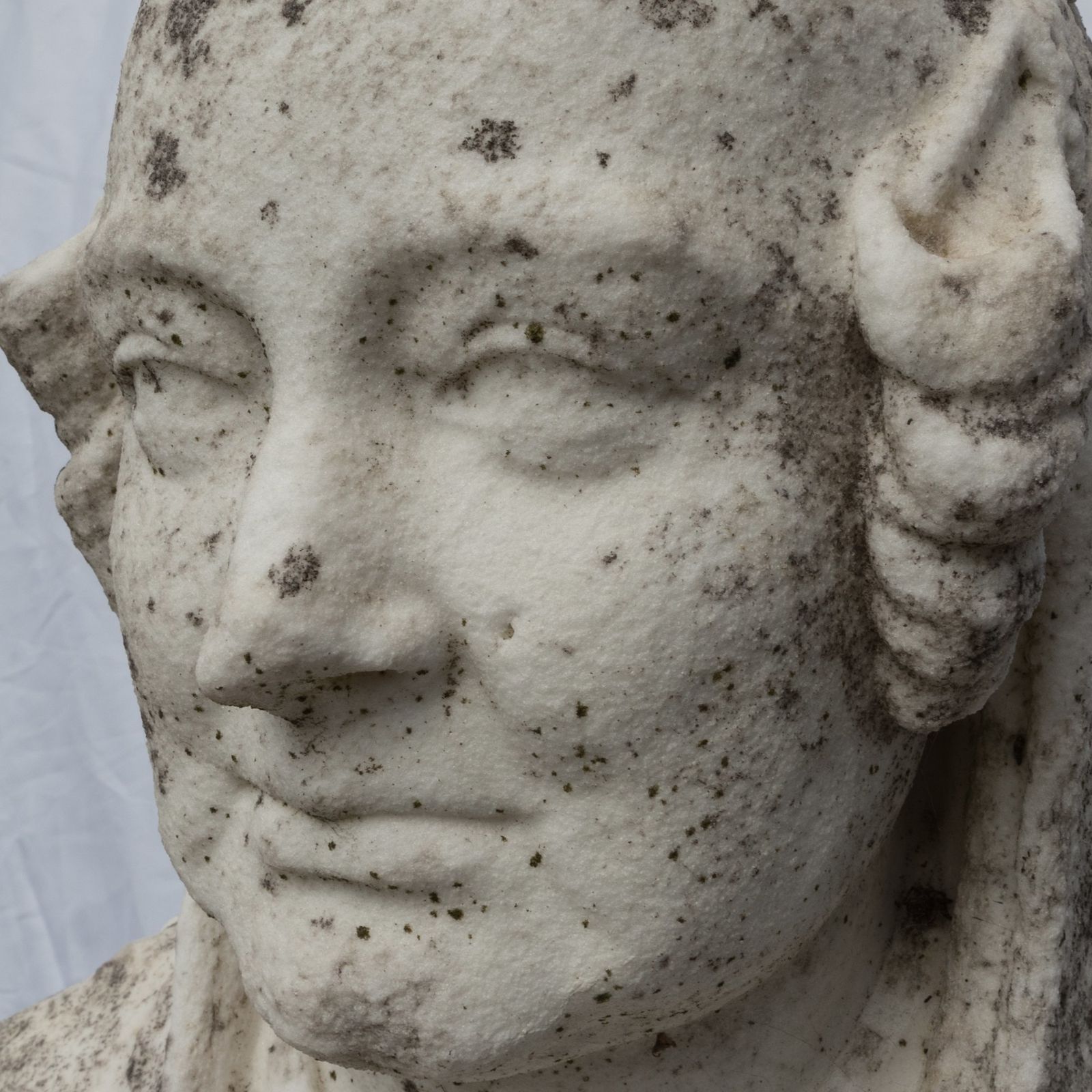 Antique Queen Victoria Bust Carved In Carrara Marble photo for sale